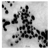 Bioengineering 07 00129 i020