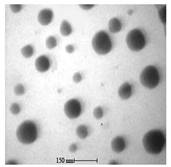 Bioengineering 07 00129 i022