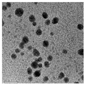 Bioengineering 07 00129 i024