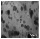 Bioengineering 07 00129 i026