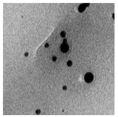 Bioengineering 07 00129 i028