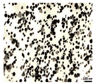 Bioengineering 07 00129 i030