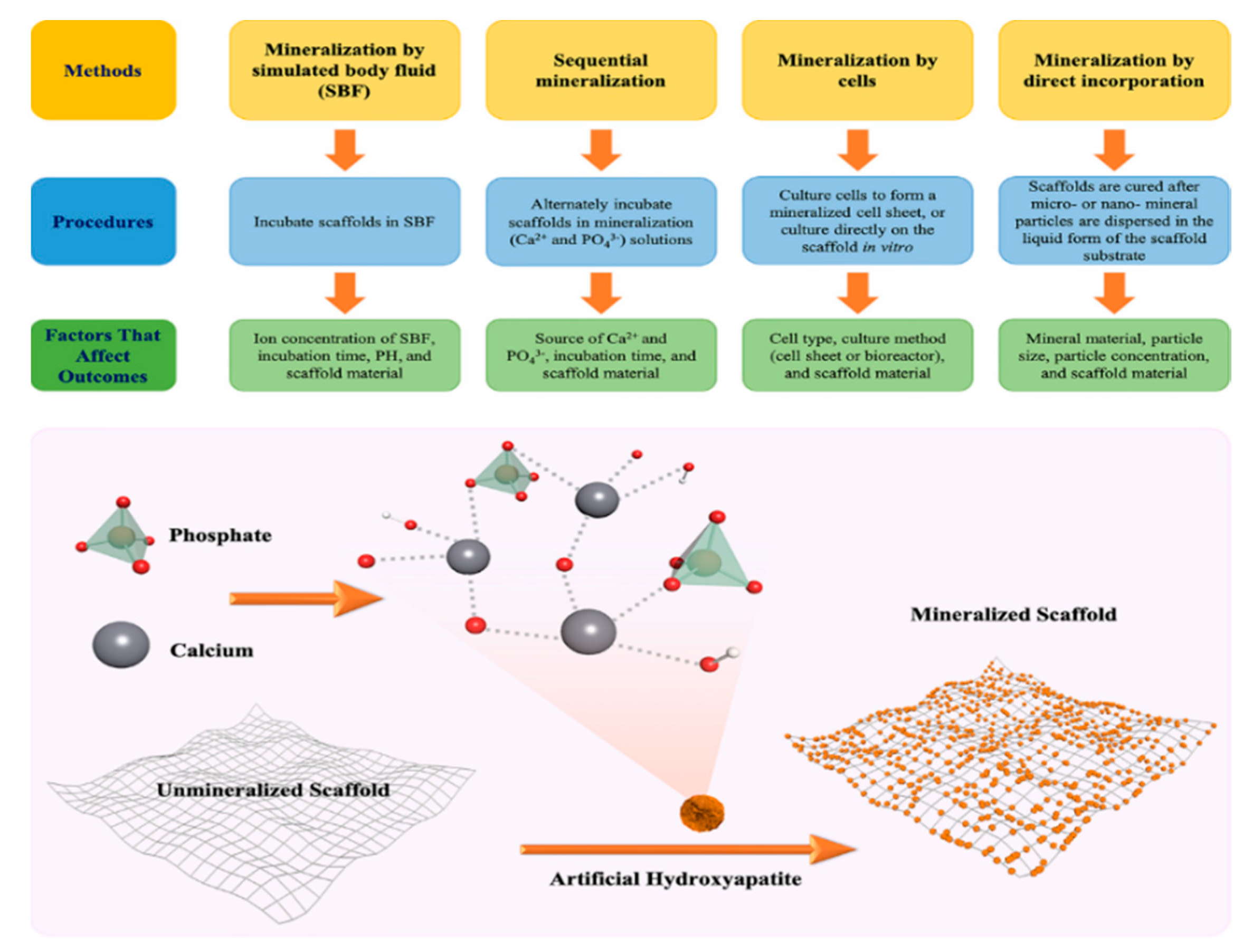 Bioengineering 07 00132 g002 Bioengineering 07 00132 g002