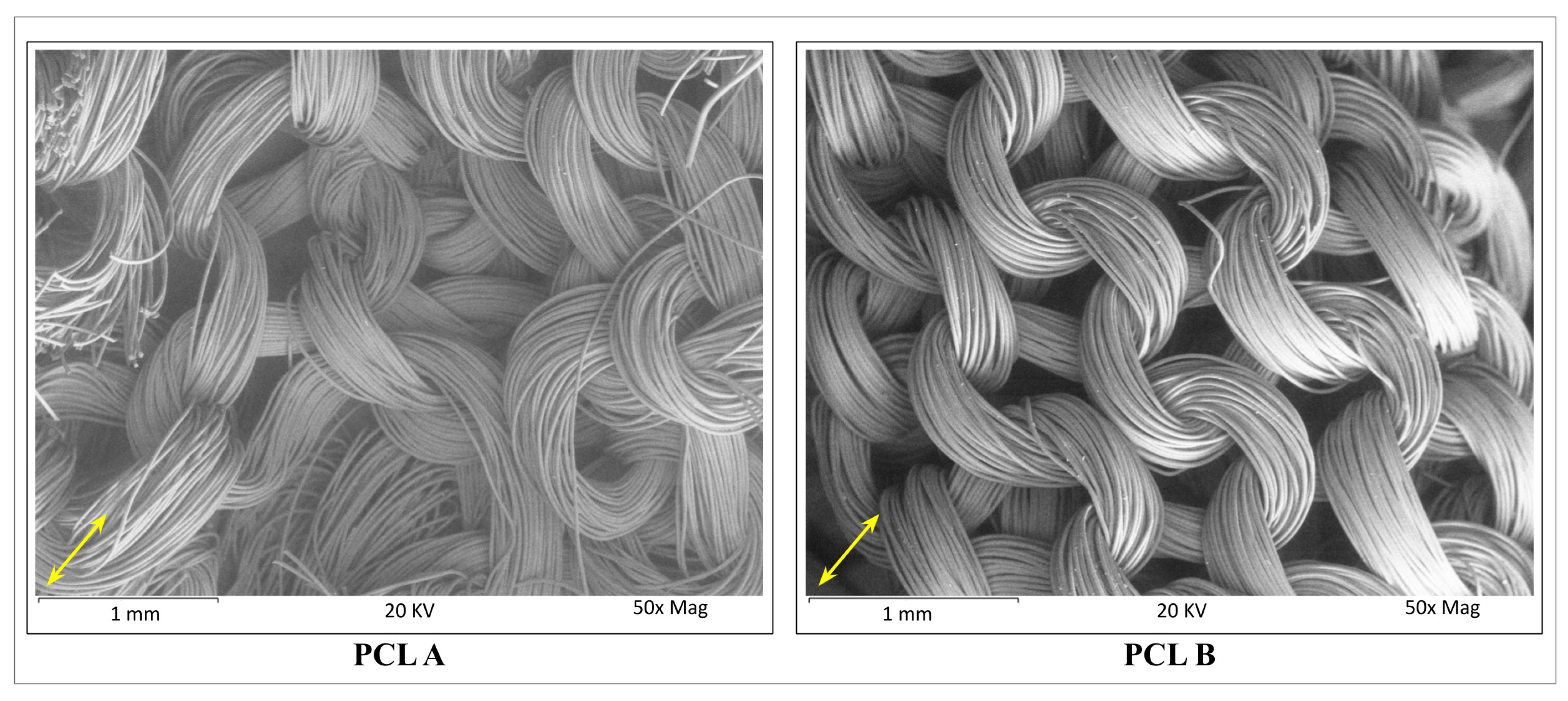 Bioengineering 07 00134 g003 Bioengineering 07 00134 g003