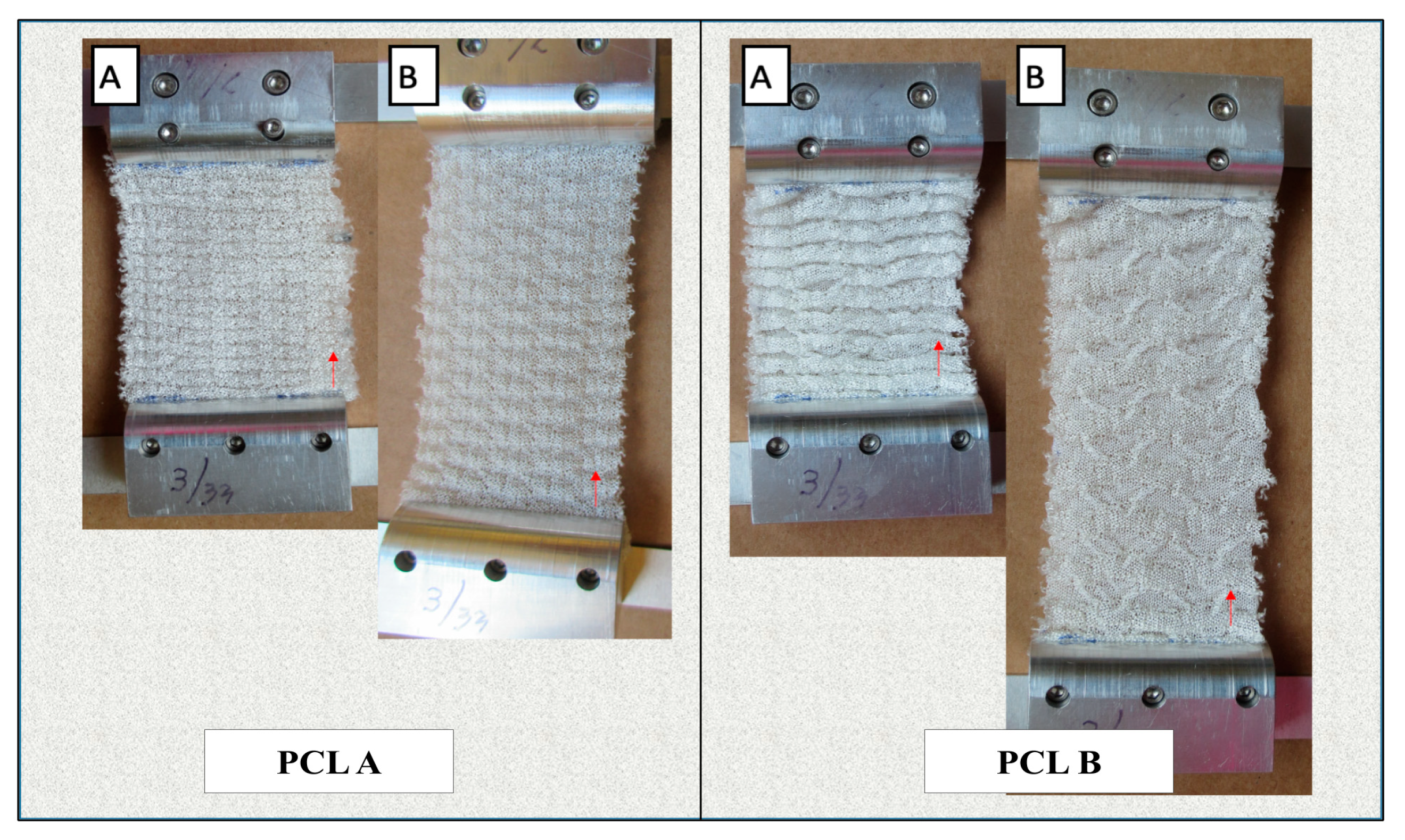 Bioengineering 07 00134 g005 Bioengineering 07 00134 g005