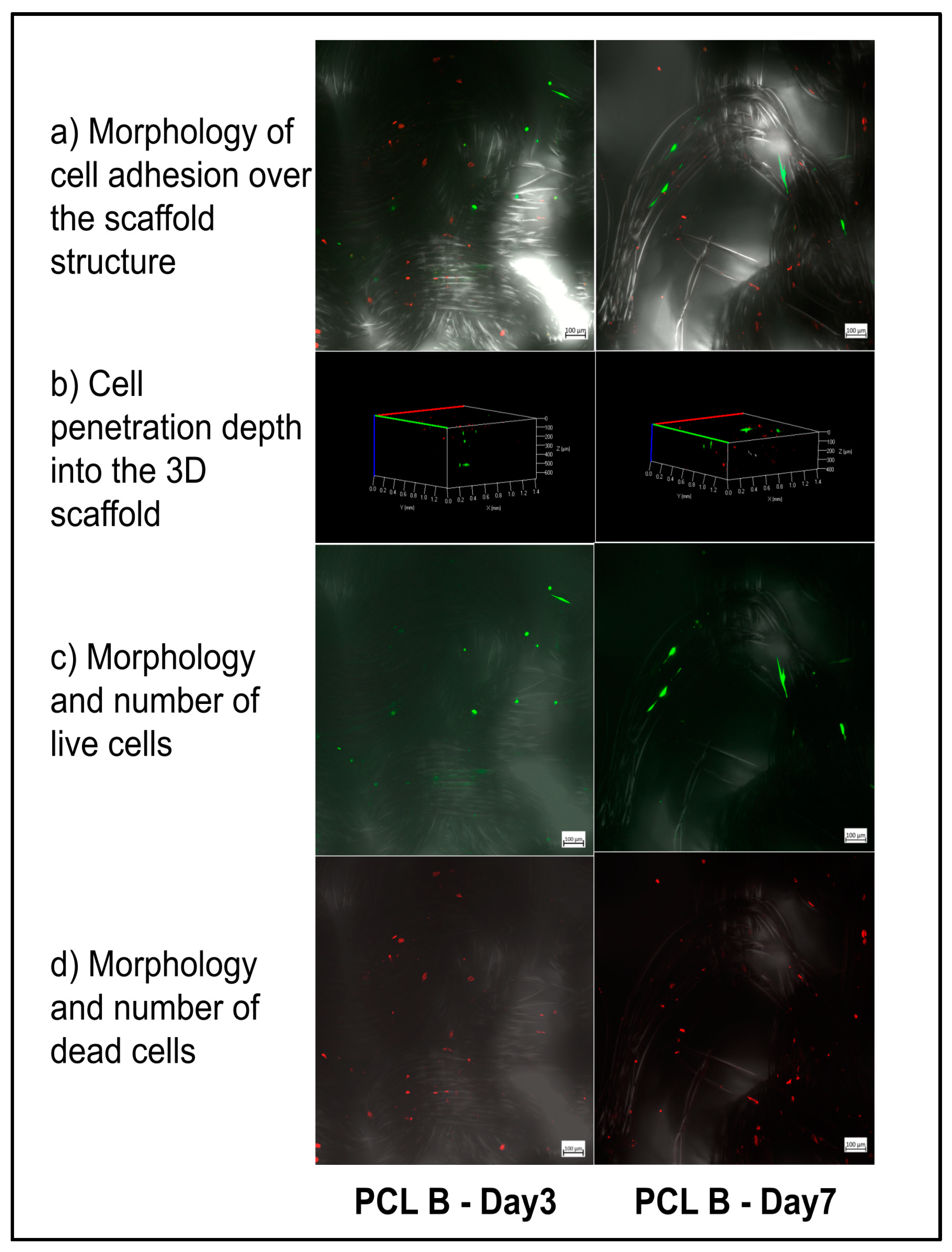 Bioengineering 07 00134 g008 Bioengineering 07 00134 g008