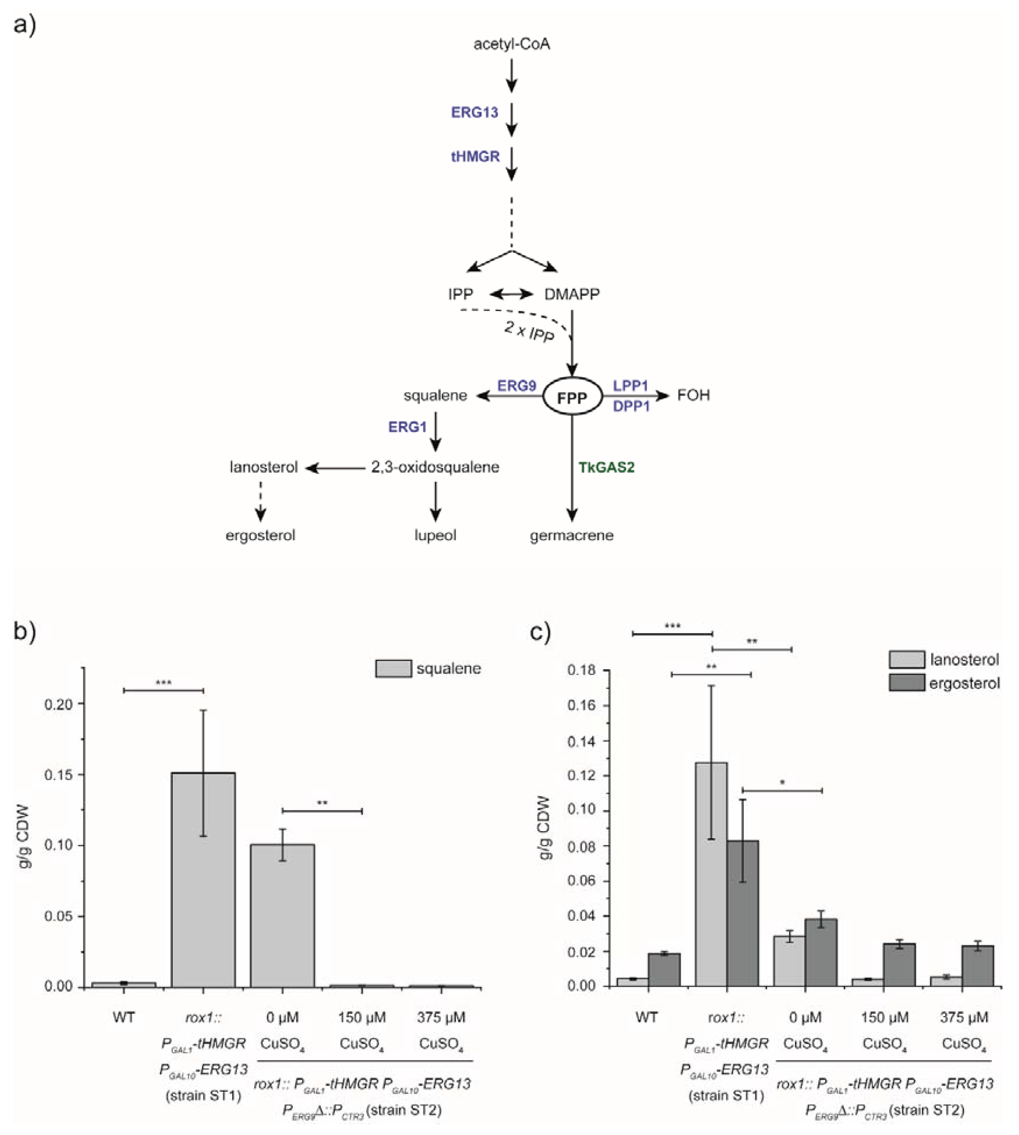 Bioengineering 07 00135 g001