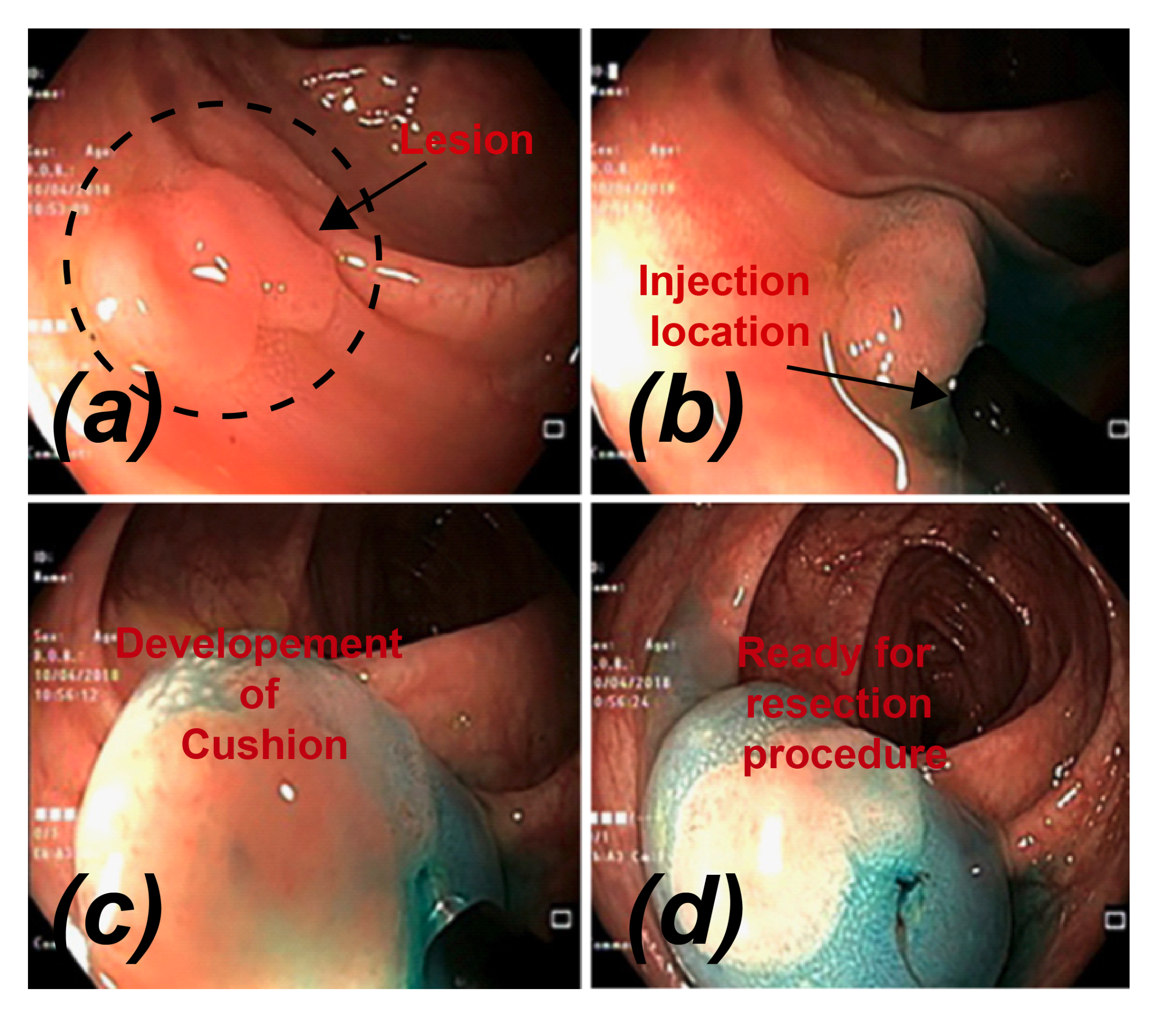 Bioengineering 07 00136 g001