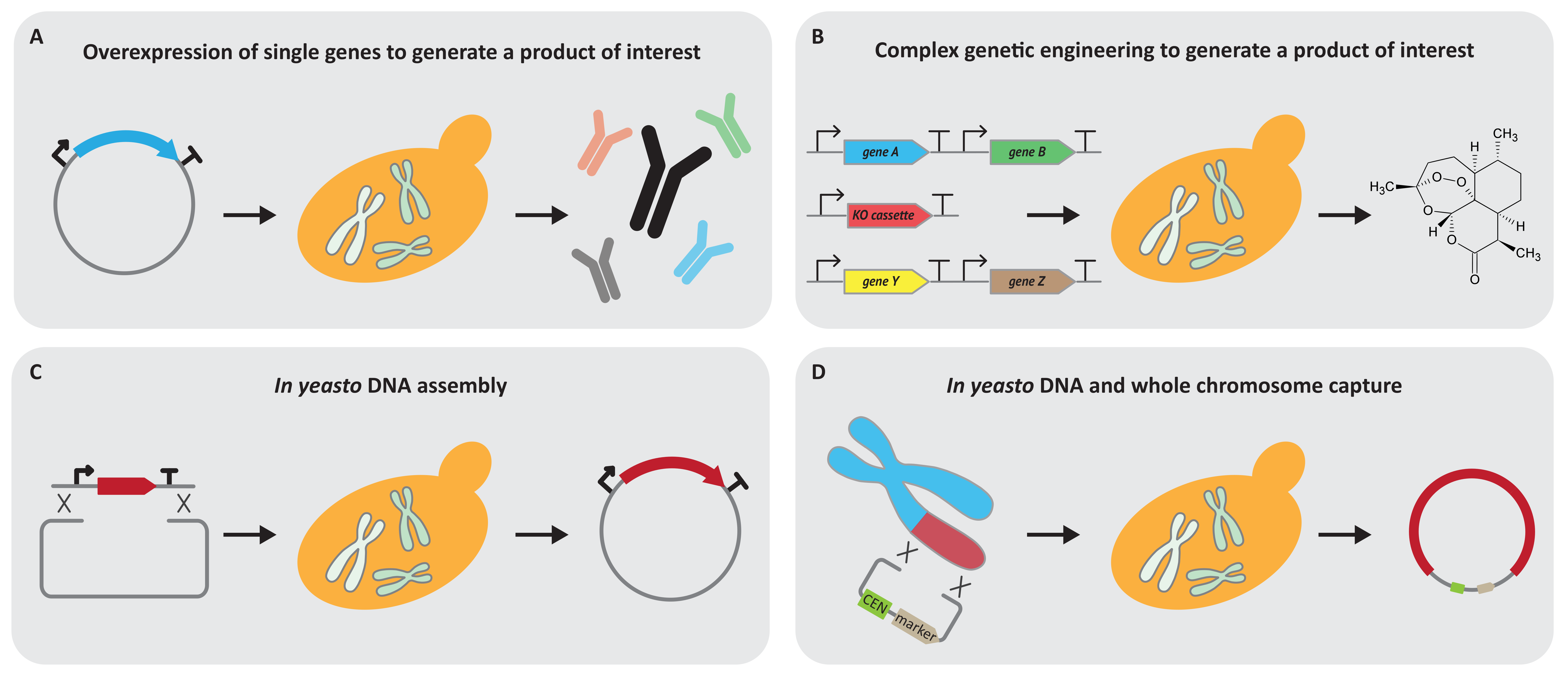 Bioengineering 07 00137 g001