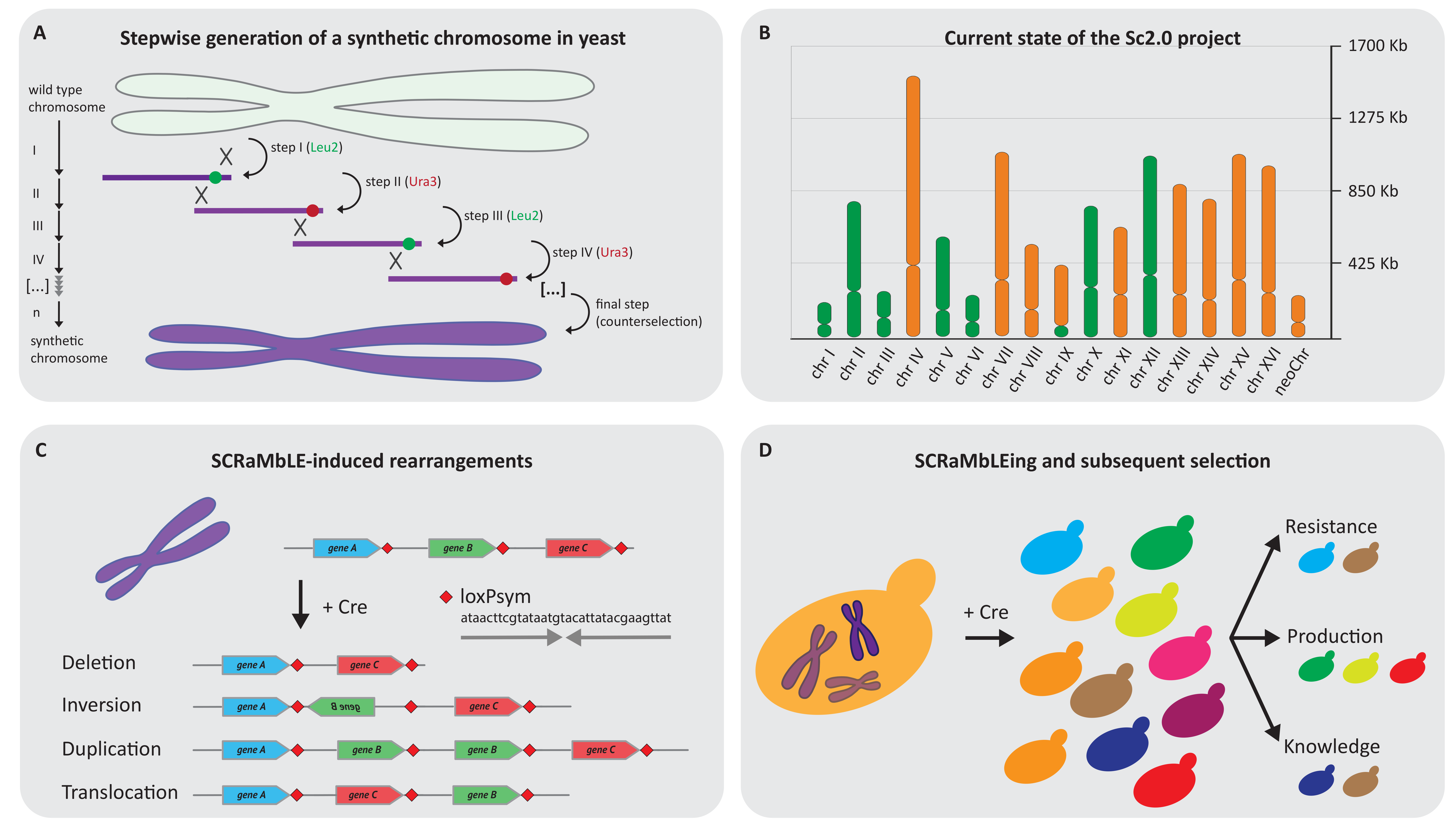 Bioengineering 07 00137 g002