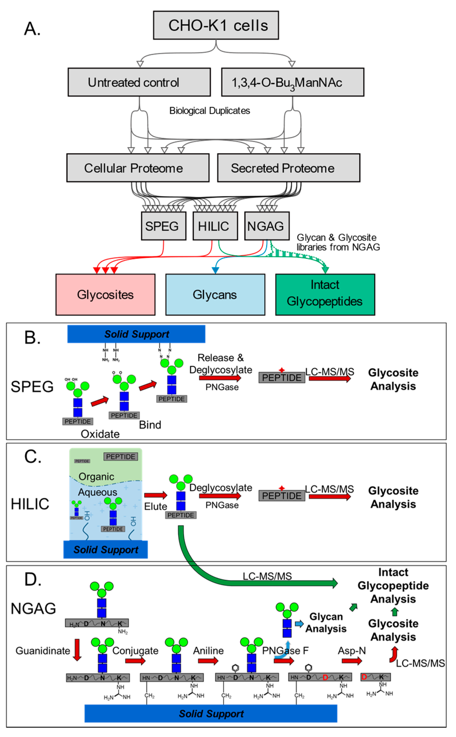 Bioengineering 07 00144 g001 Bioengineering 07 00144 g001