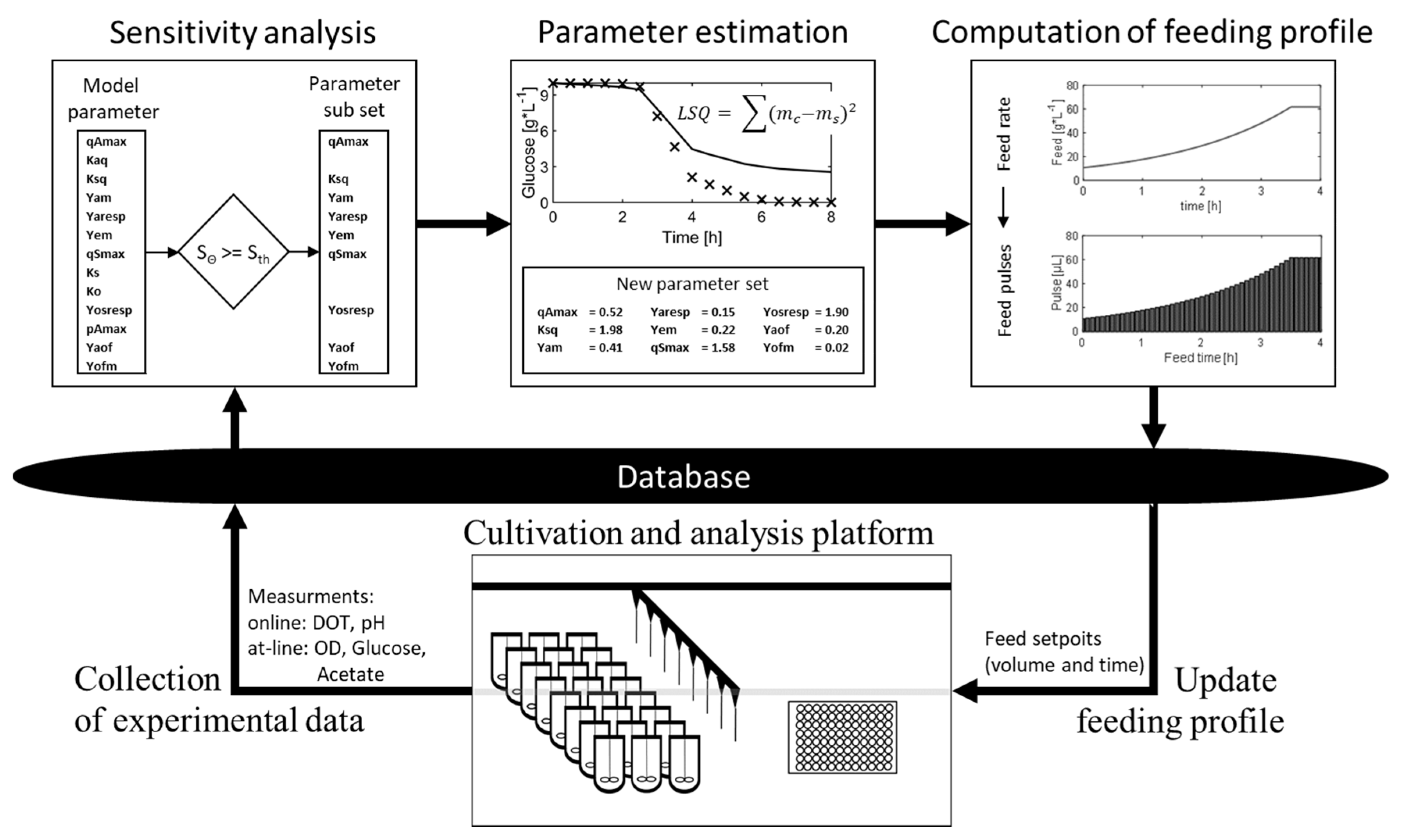 Bioengineering 07 00145 g001