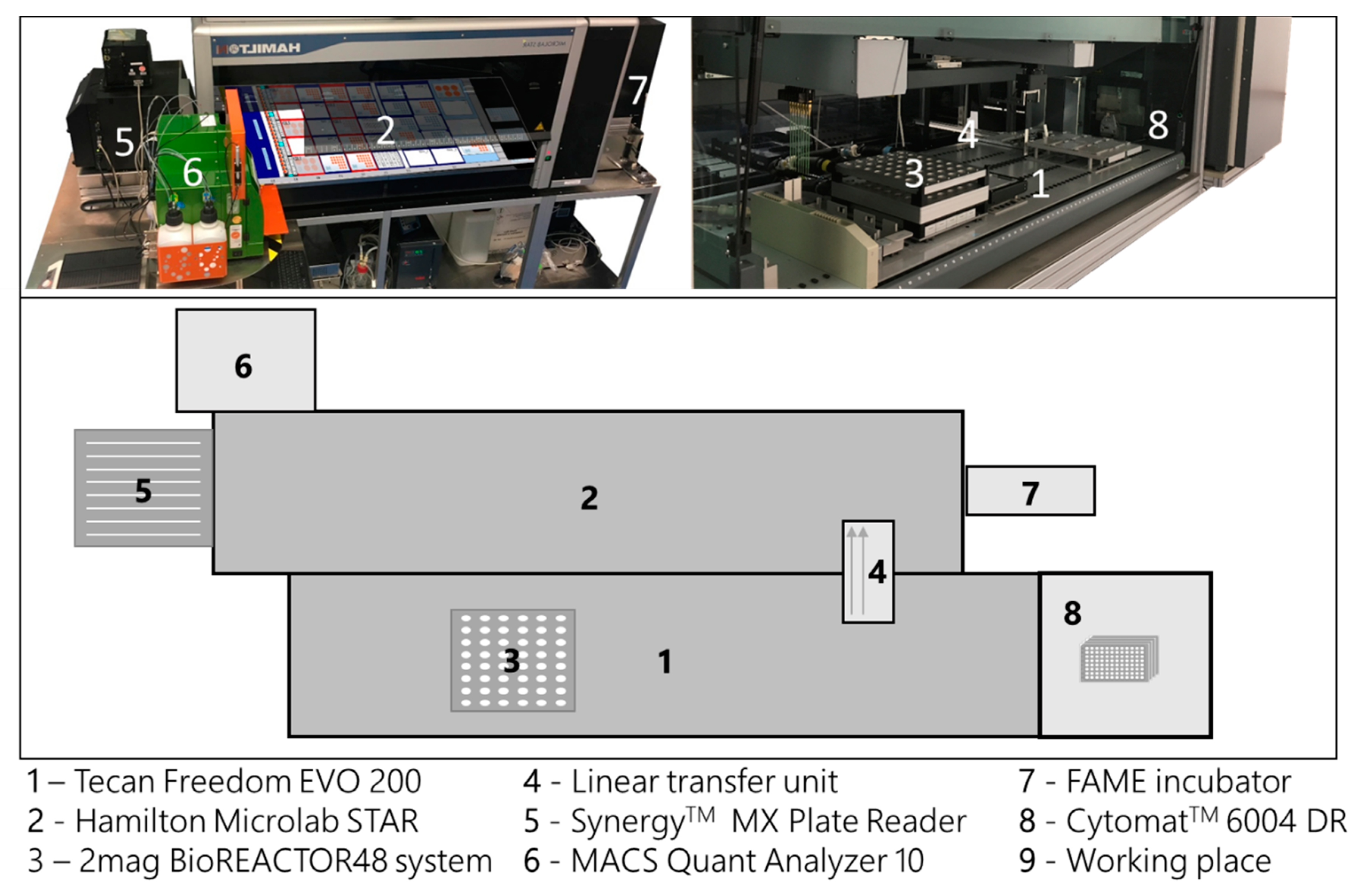 Bioengineering 07 00145 g002