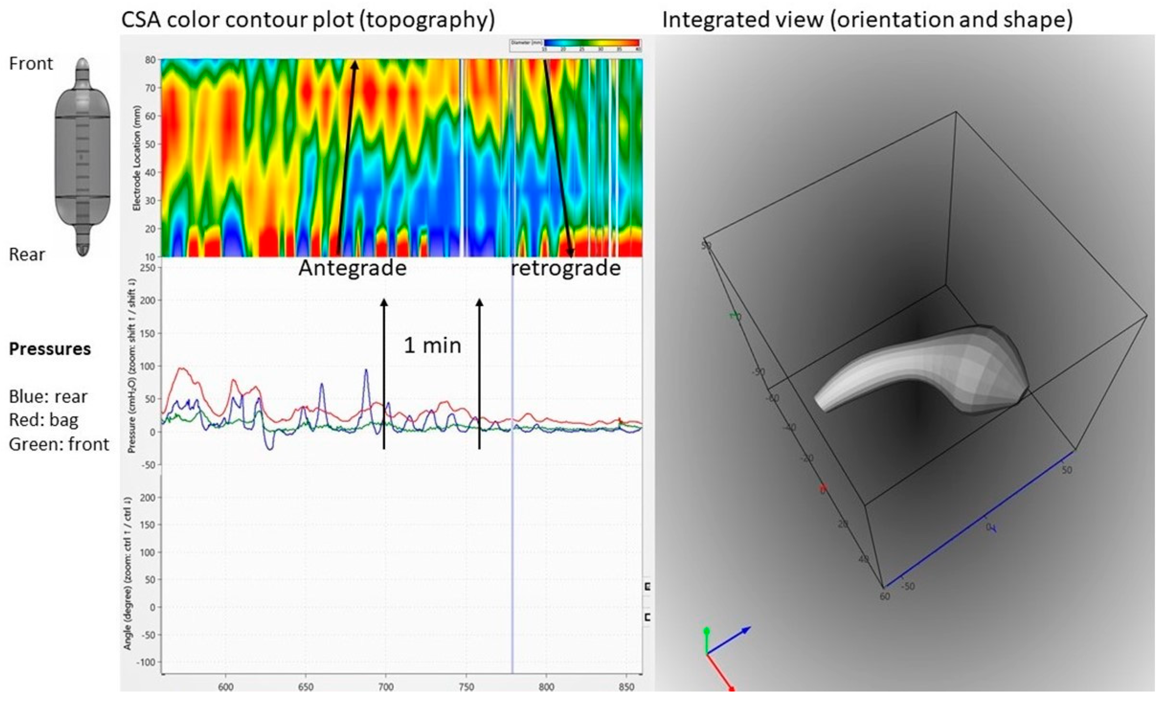 Bioengineering 07 00146 g004