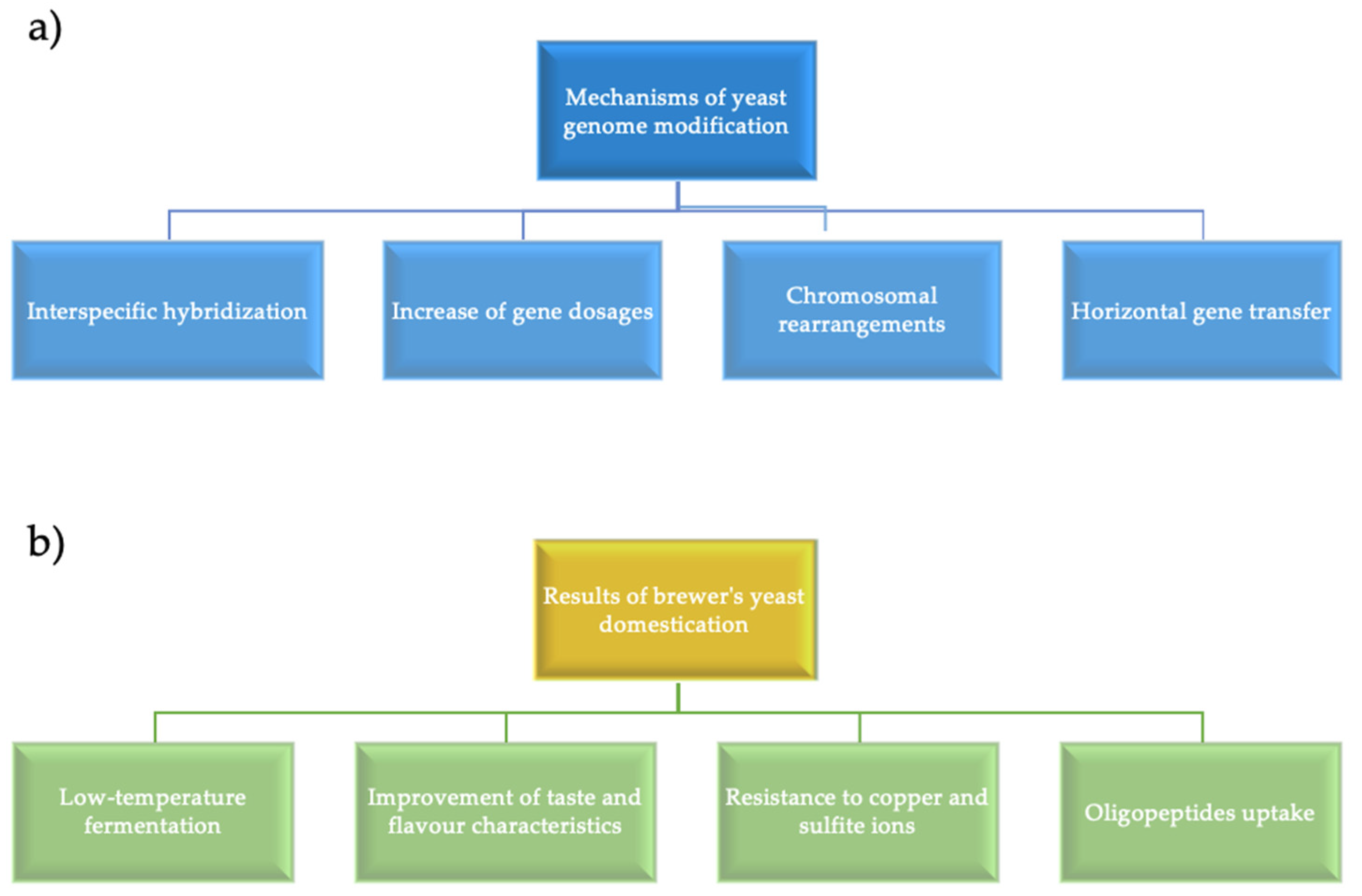 Bioengineering 07 00147 g001