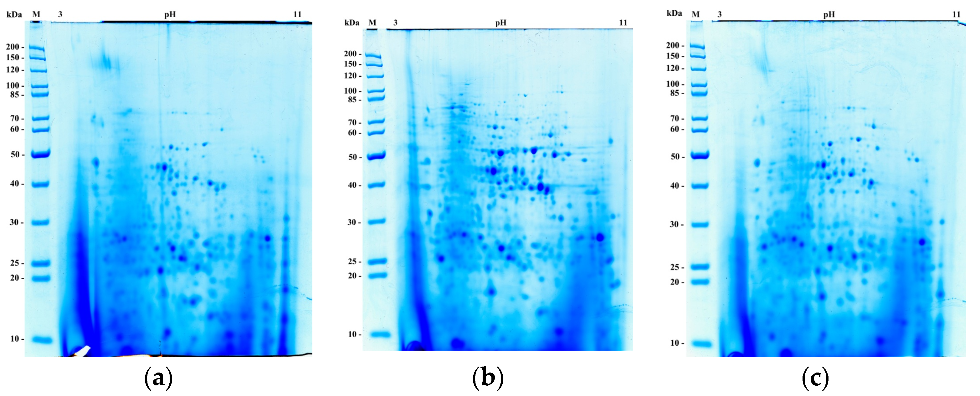 Bioengineering 07 00147 g002
