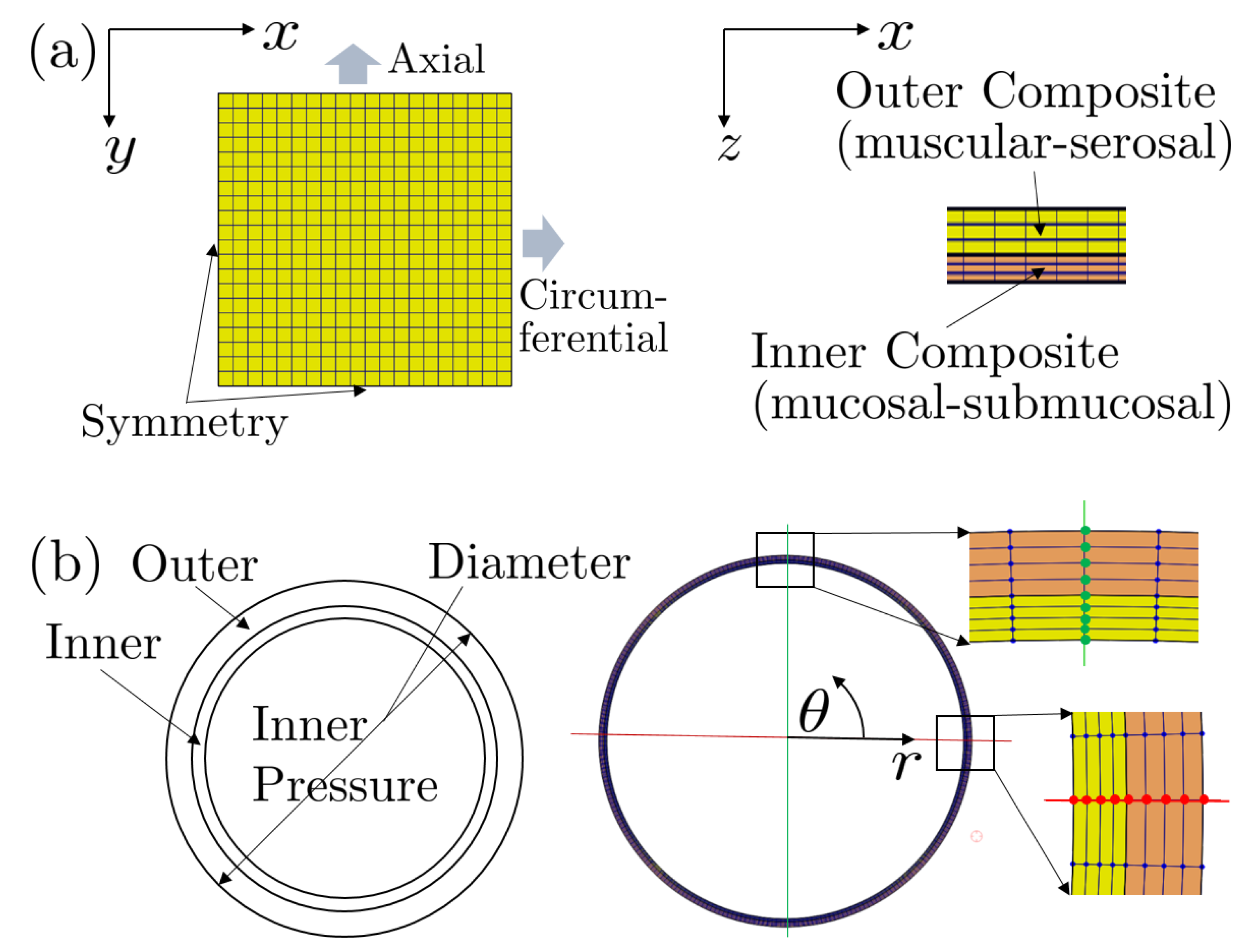 Bioengineering 07 00152 g001 Bioengineering 07 00152 g001