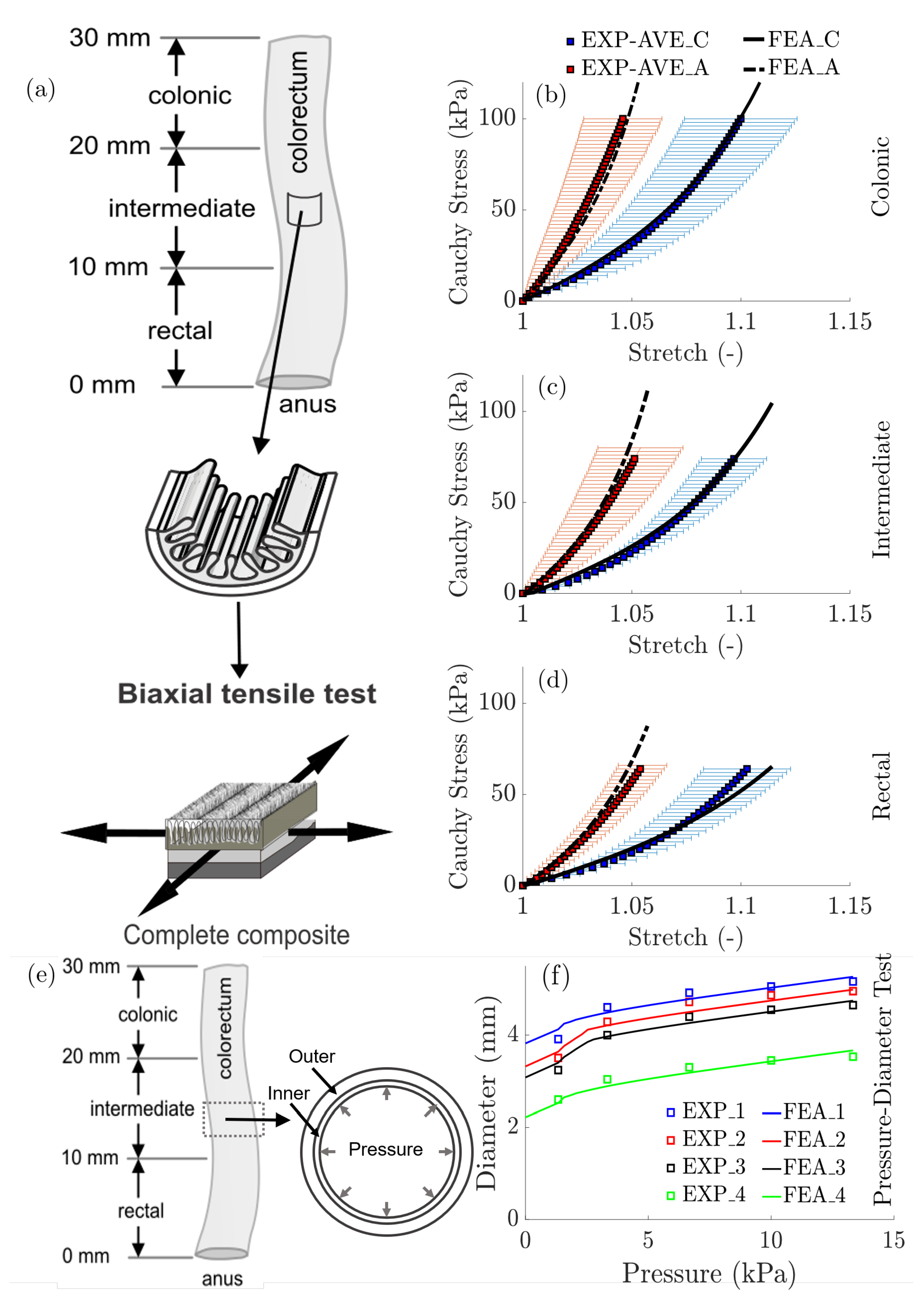 Bioengineering 07 00152 g002 Bioengineering 07 00152 g002