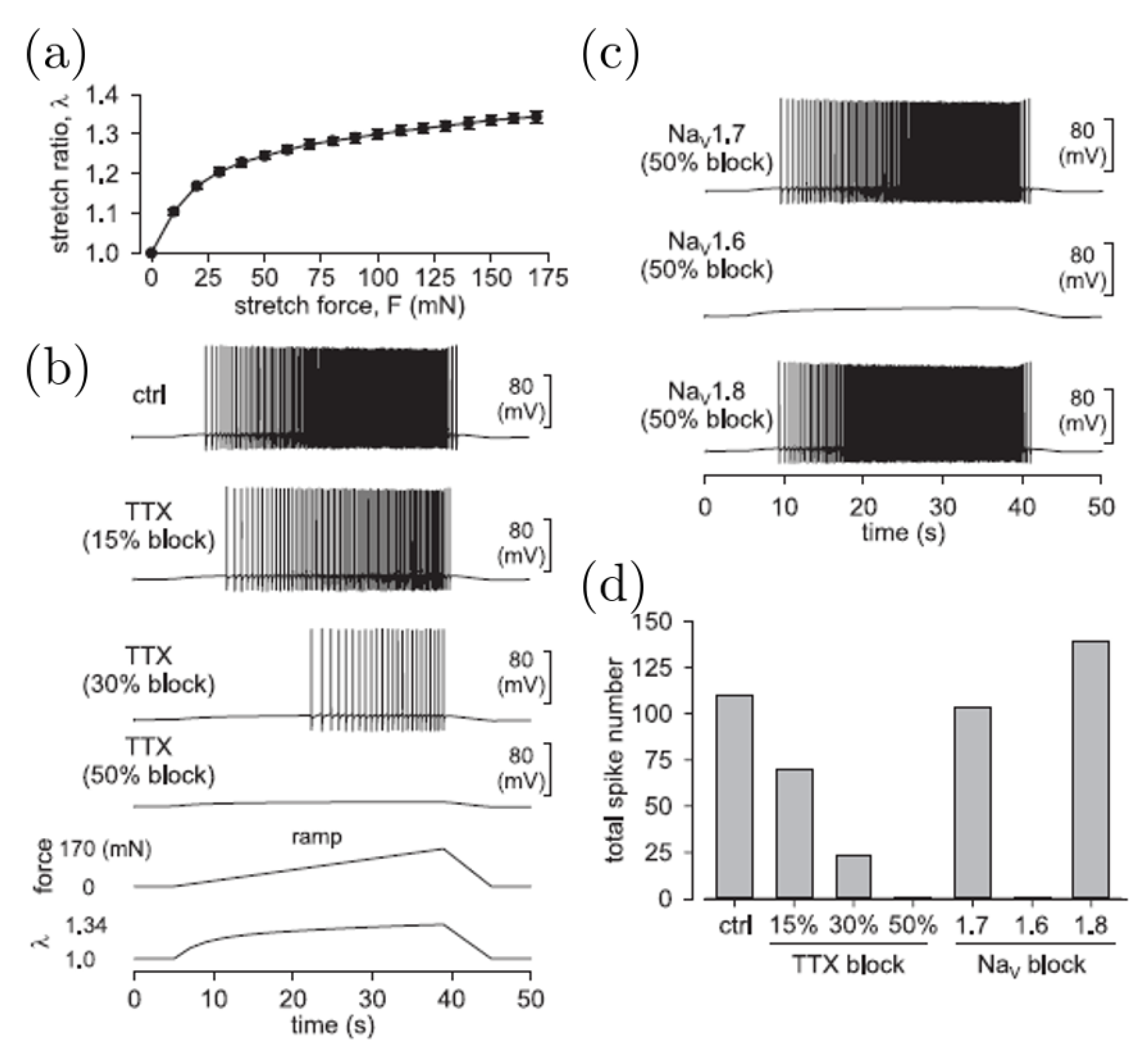 Bioengineering 07 00152 g004 Bioengineering 07 00152 g004