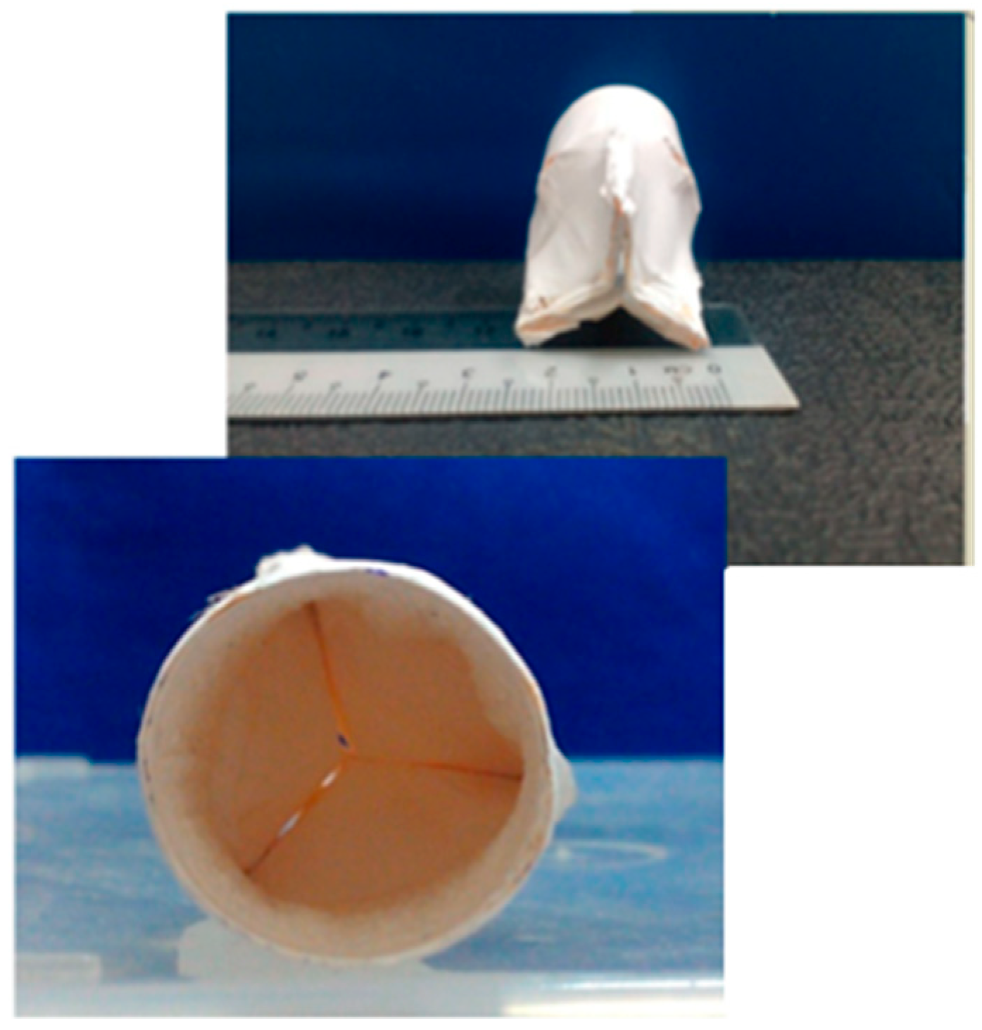 Bioengineering 07 00153 g006