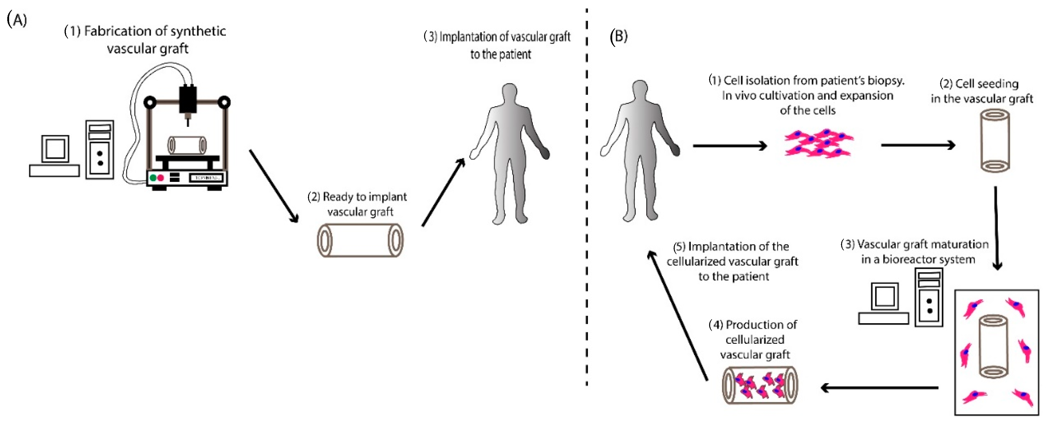 Bioengineering 07 00160 g001 Bioengineering 07 00160 g001