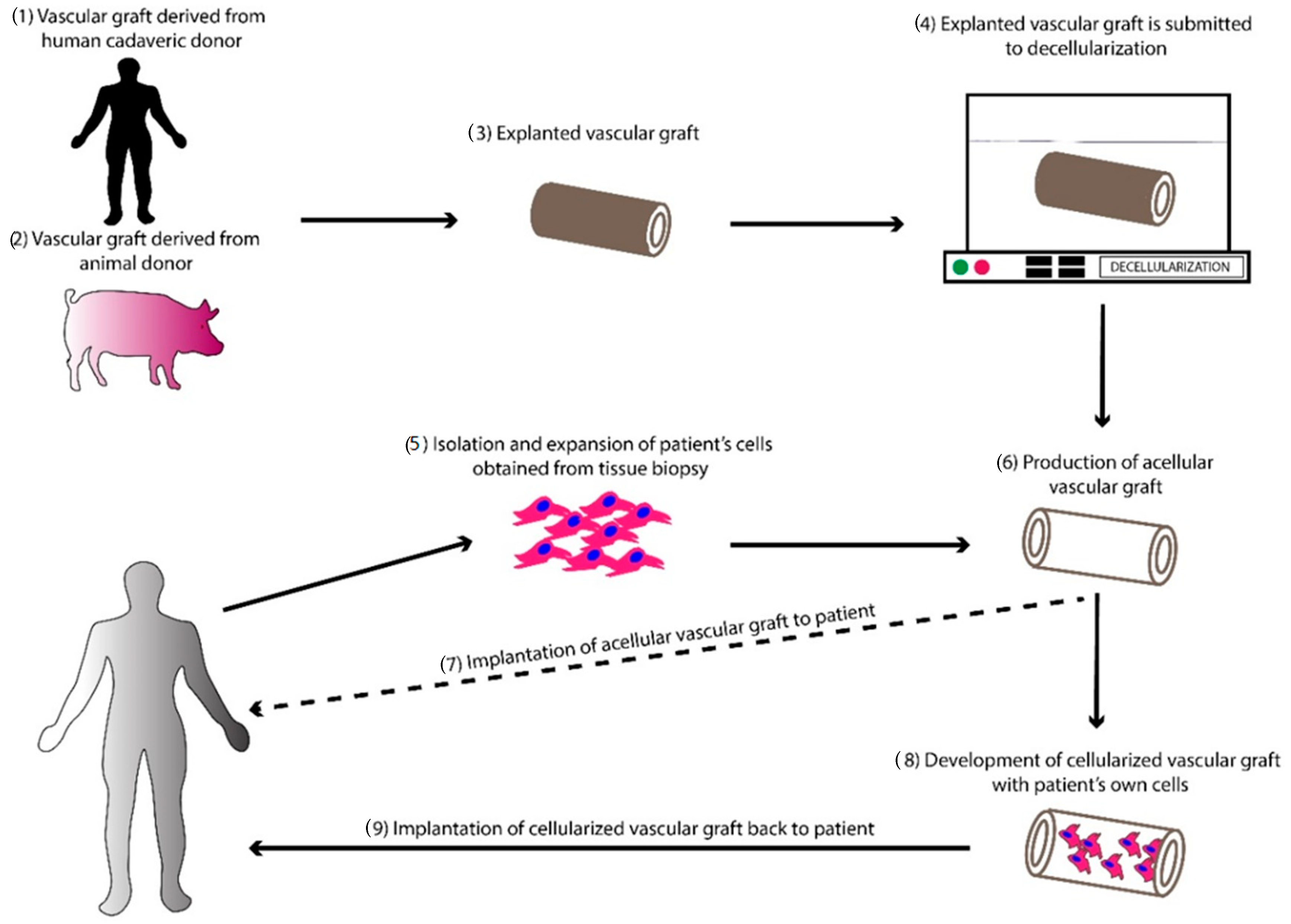 Bioengineering 07 00160 g002 Bioengineering 07 00160 g002
