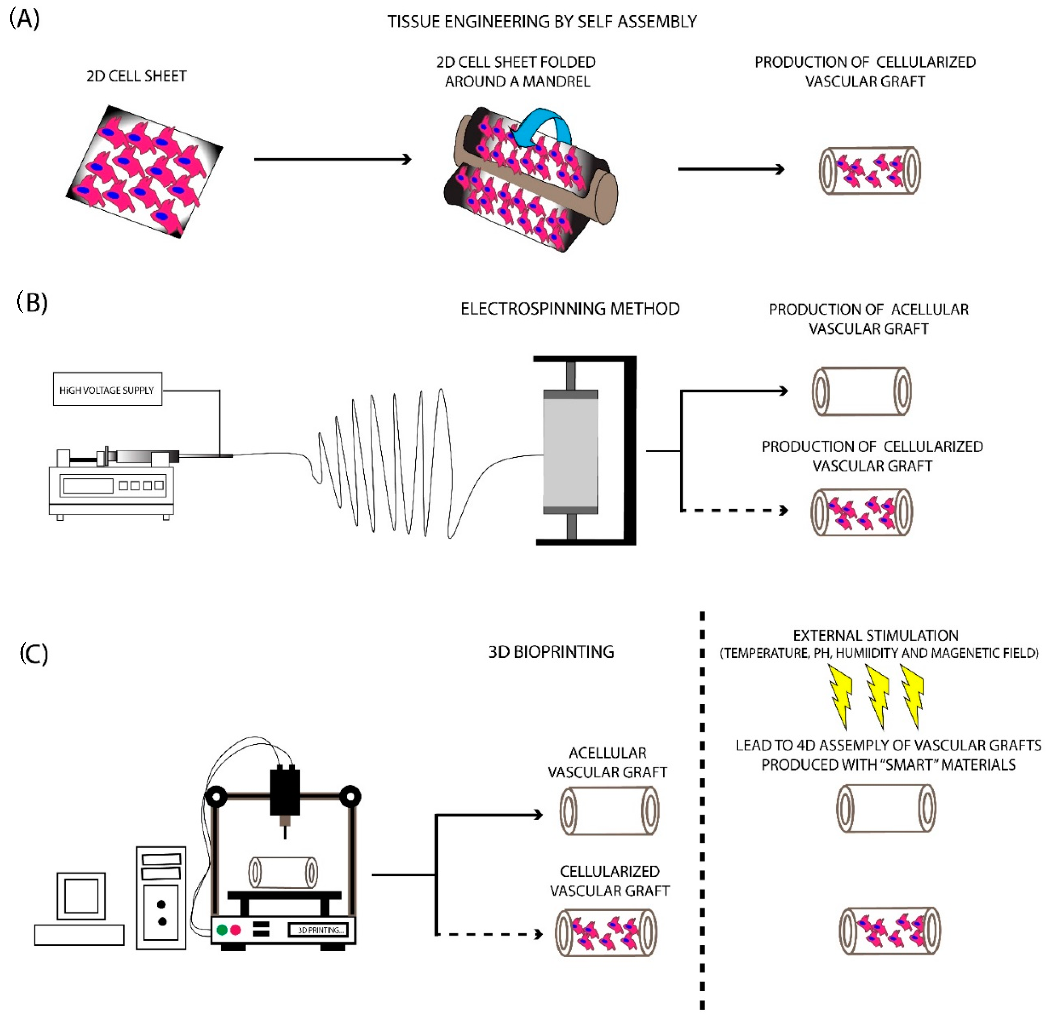 Bioengineering 07 00160 g003 Bioengineering 07 00160 g003