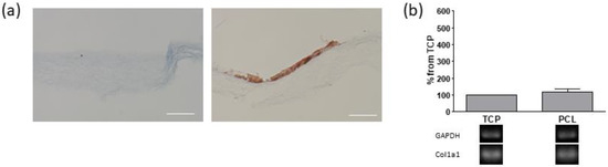 Bioengineering 08 00001 g0a1