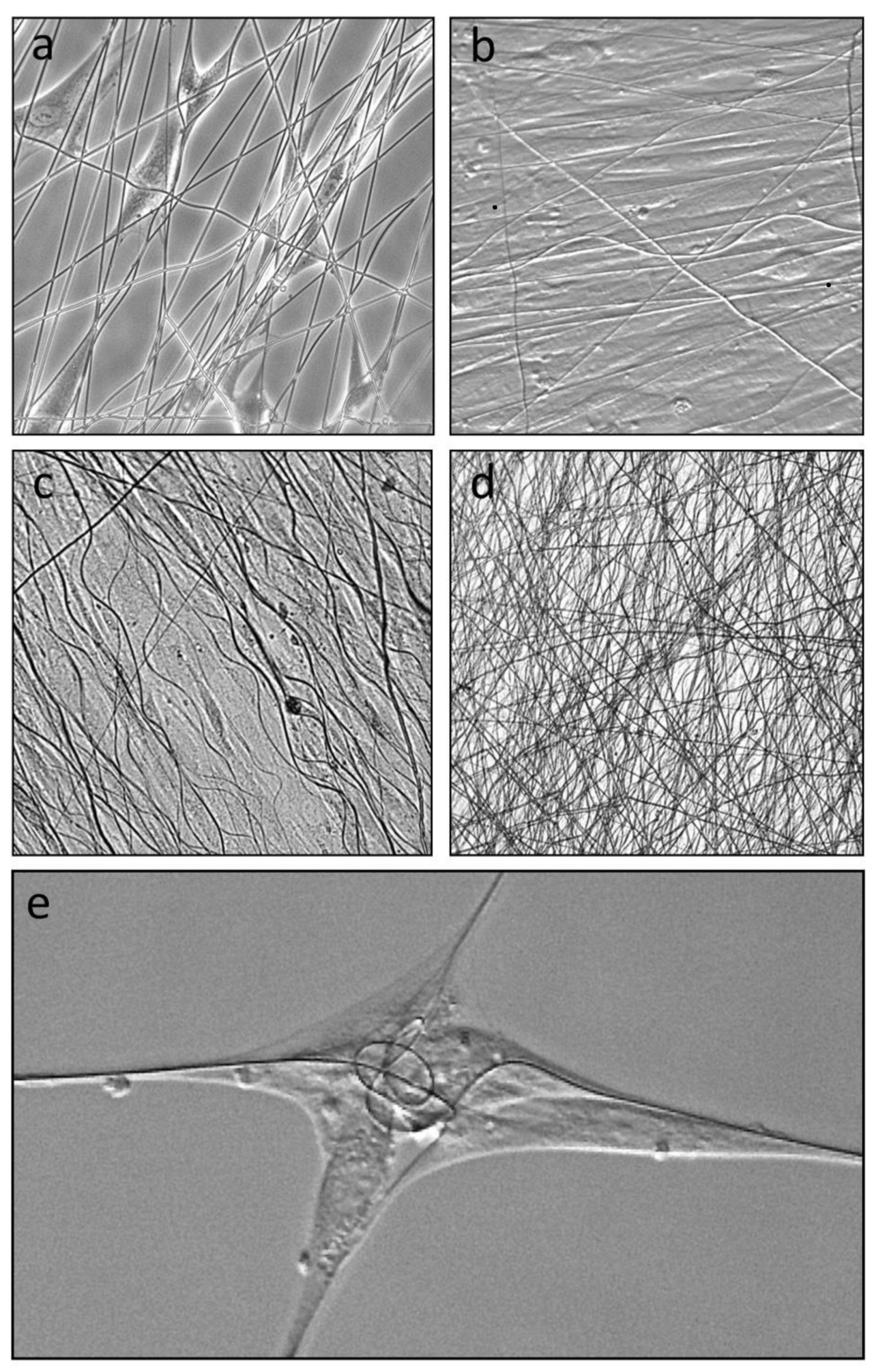 Bioengineering 08 00007 g002