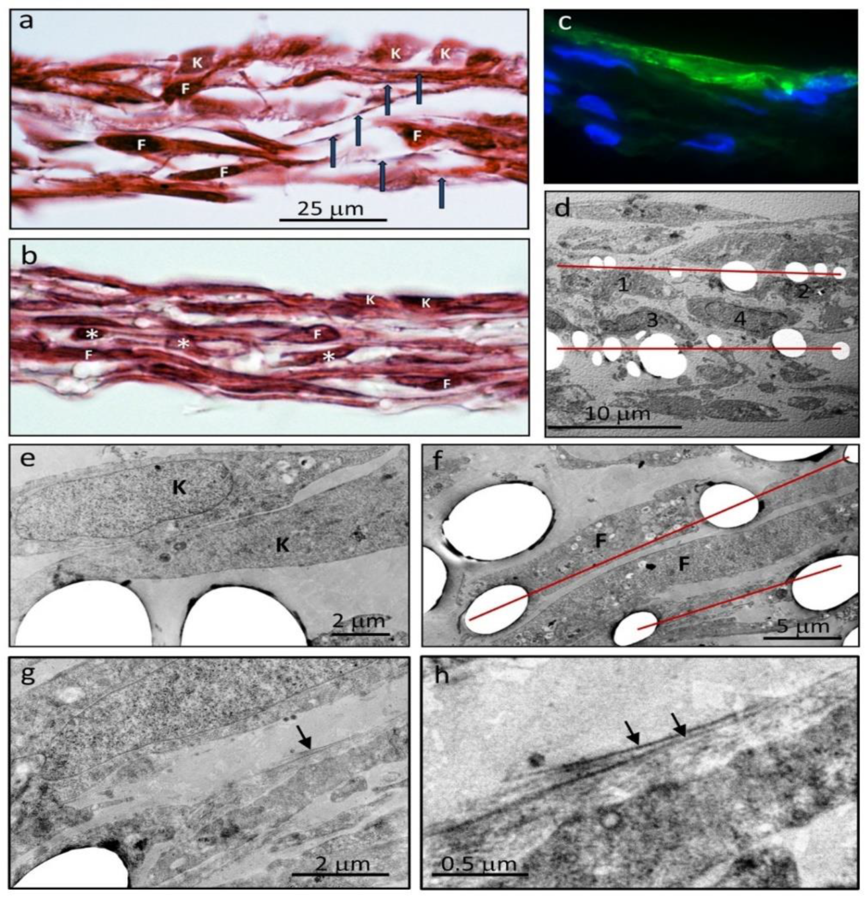 Bioengineering 08 00007 g003