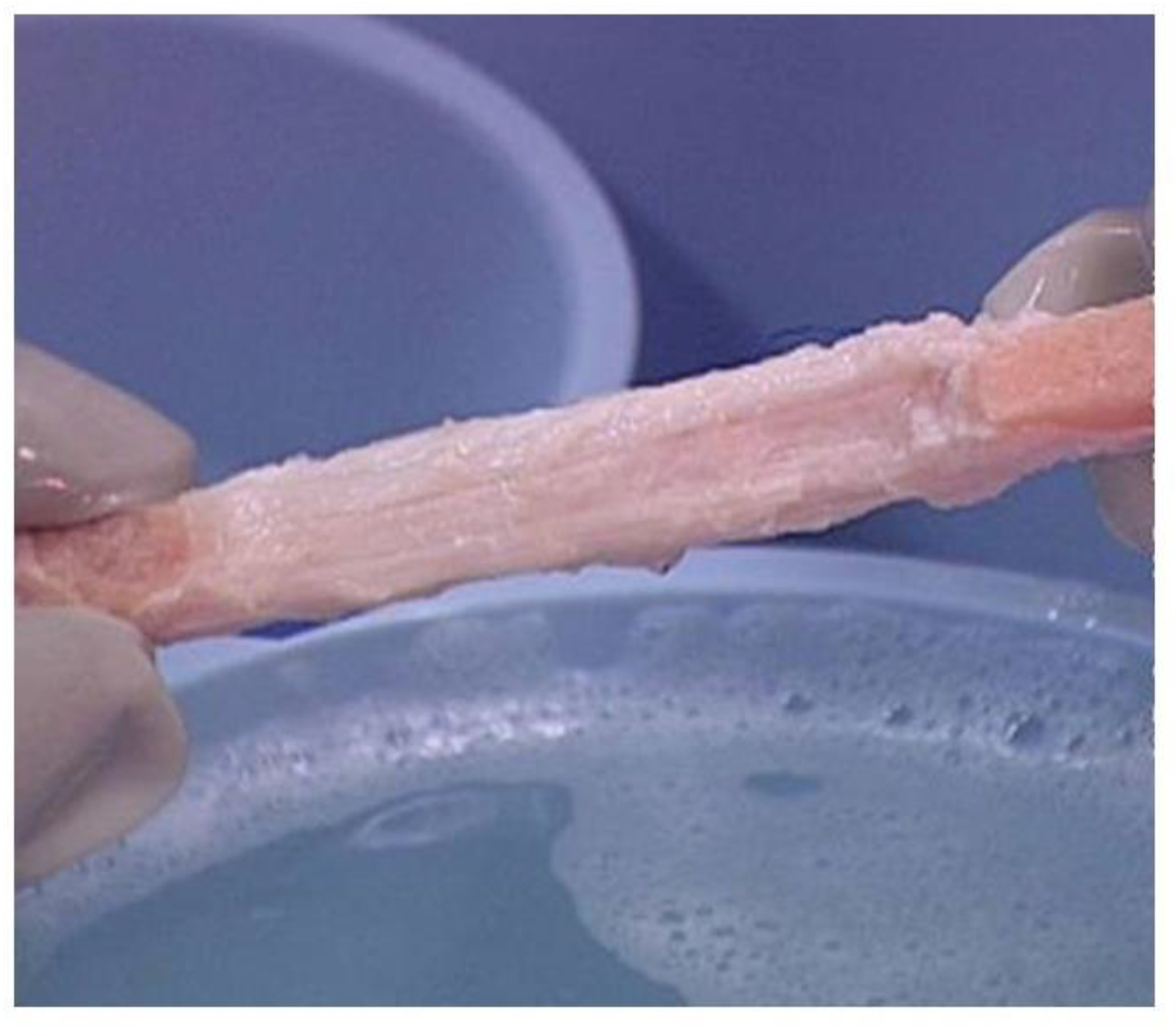 Bioengineering 08 00010 g004 Bioengineering 08 00010 g004