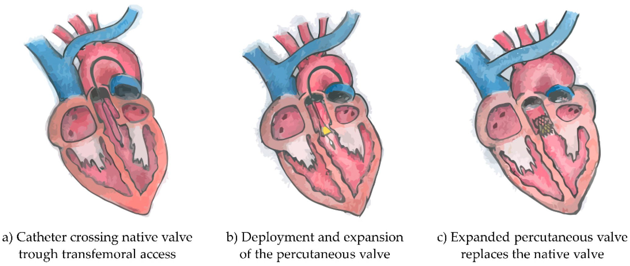 Bioengineering 08 00022 g001