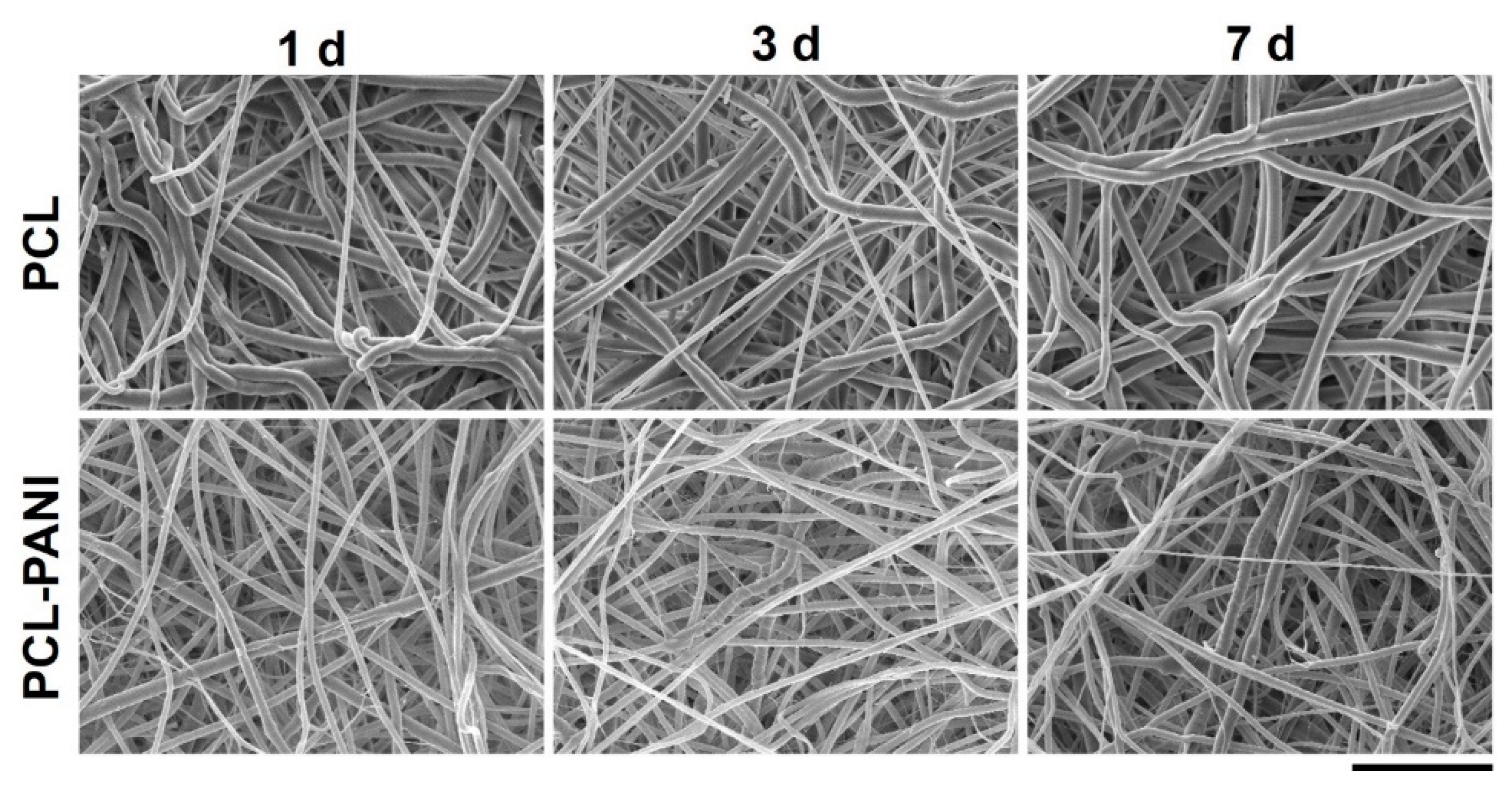 Bioengineering 08 00024 g004
