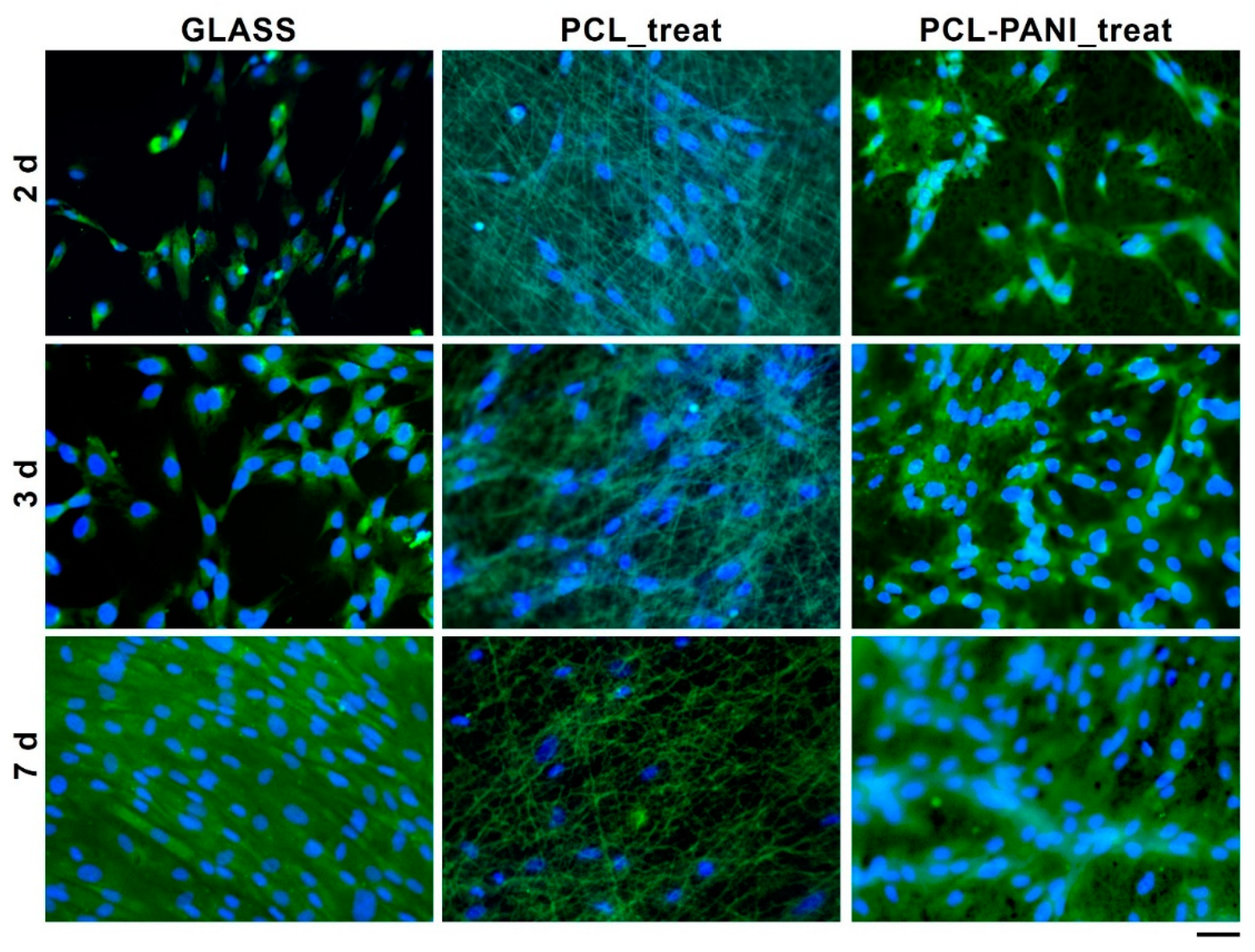 Bioengineering 08 00024 g009