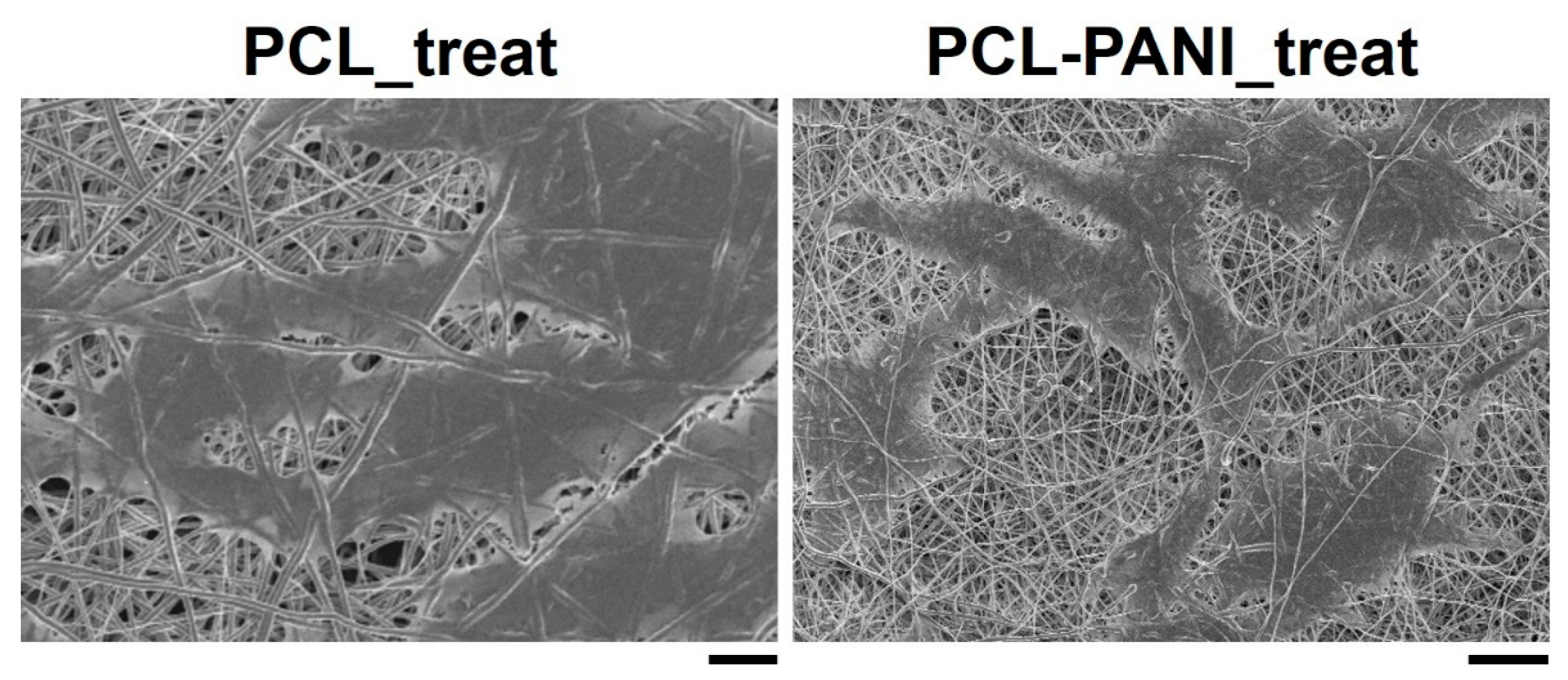 Bioengineering 08 00024 g010