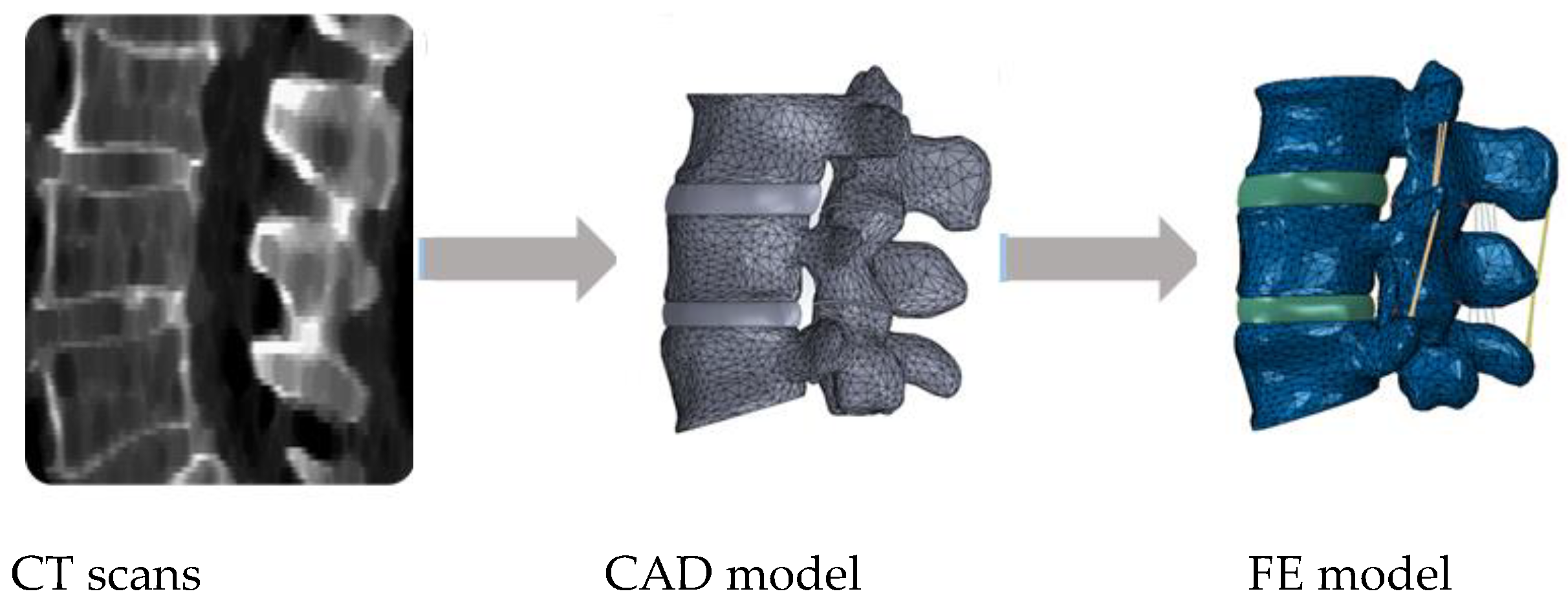 Bioengineering 08 00025 g001