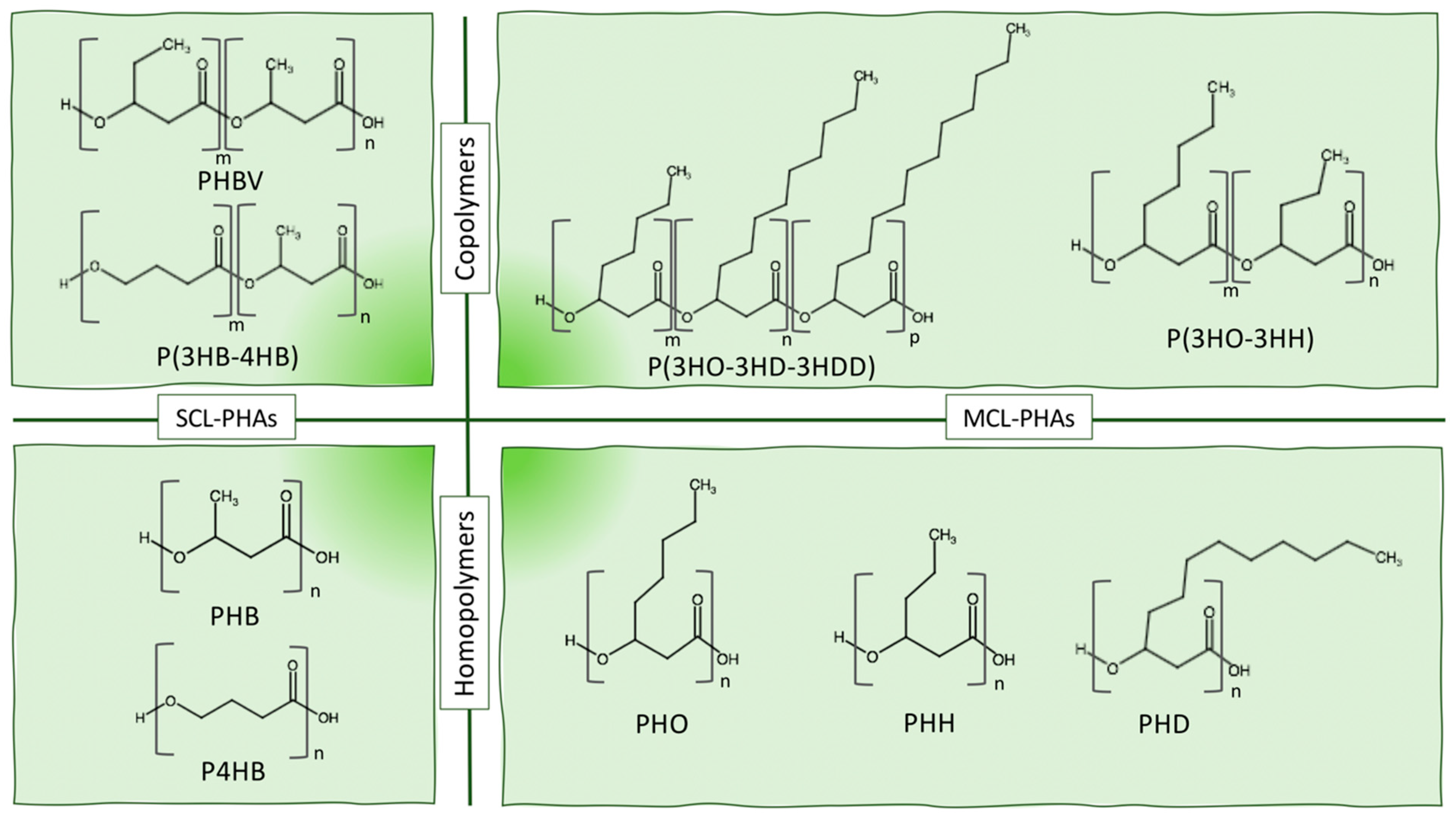 Bioengineering 08 00029 g003 Bioengineering 08 00029 g003