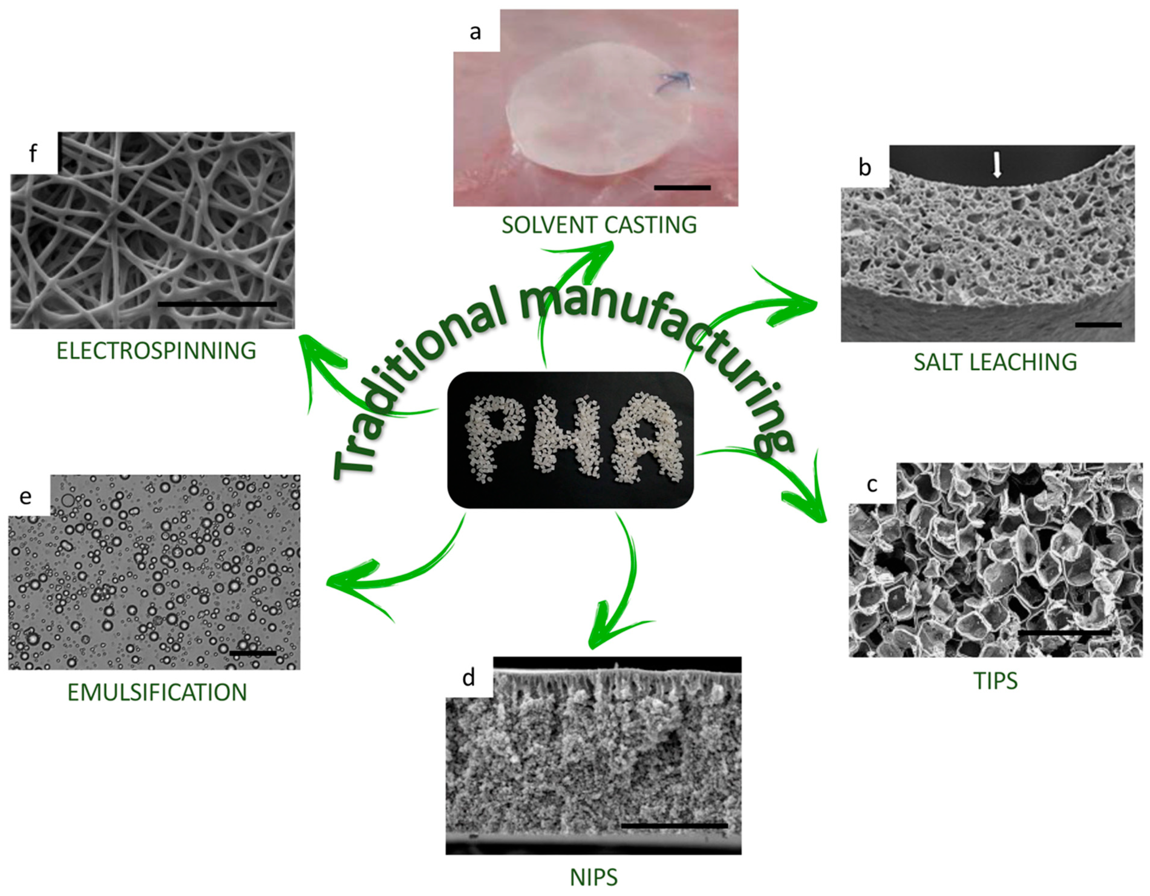 Bioengineering 08 00029 g006 Bioengineering 08 00029 g006