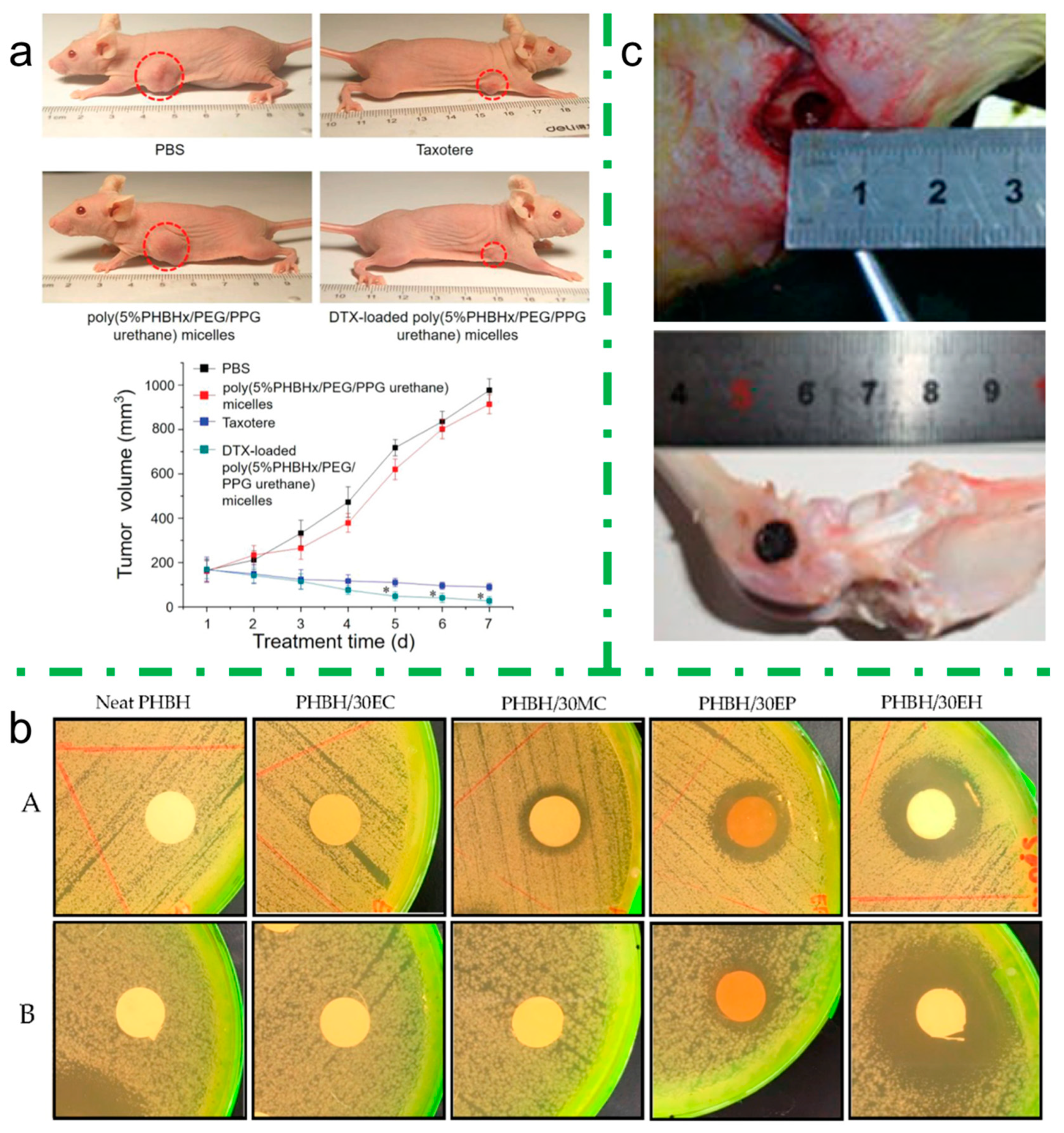 Bioengineering 08 00029 g008 Bioengineering 08 00029 g008