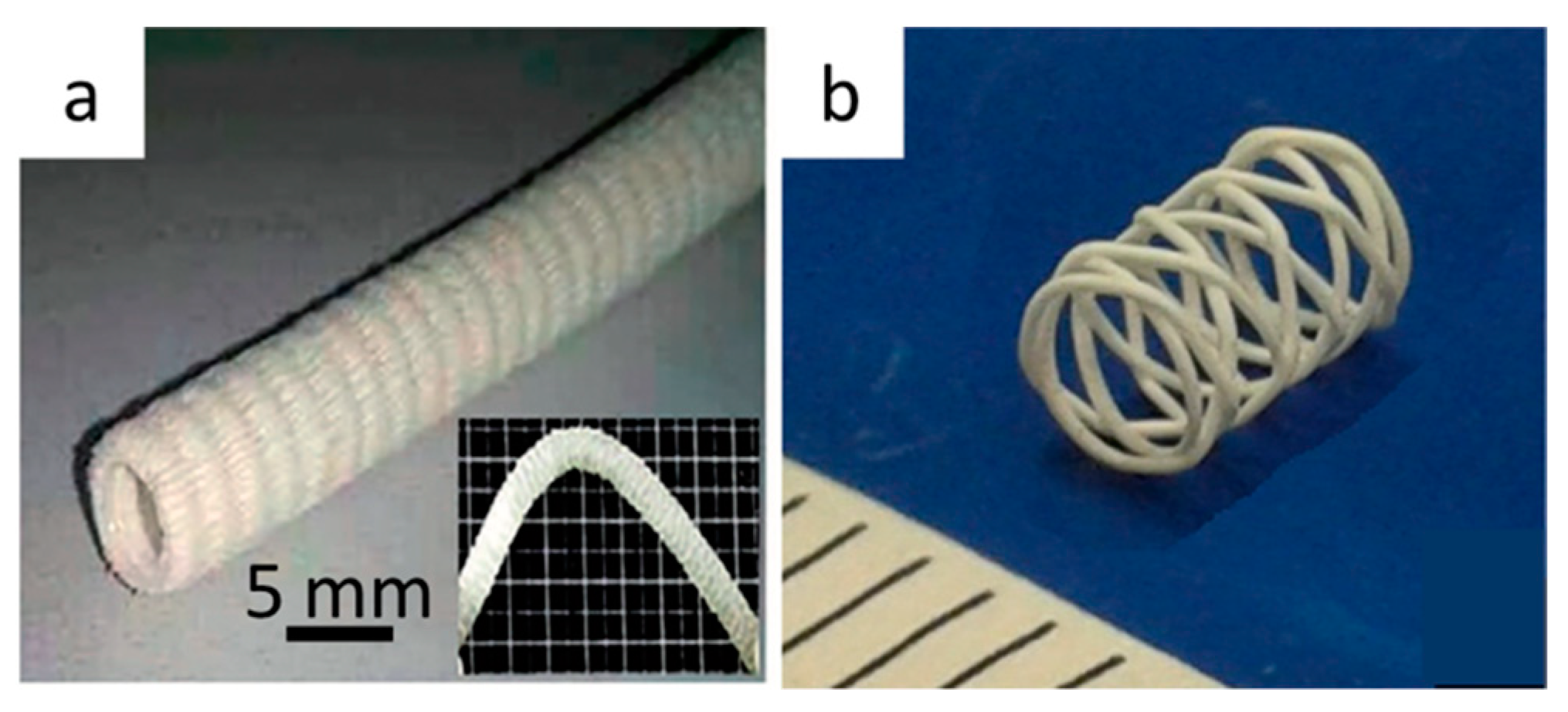 Bioengineering 08 00029 g009 Bioengineering 08 00029 g009