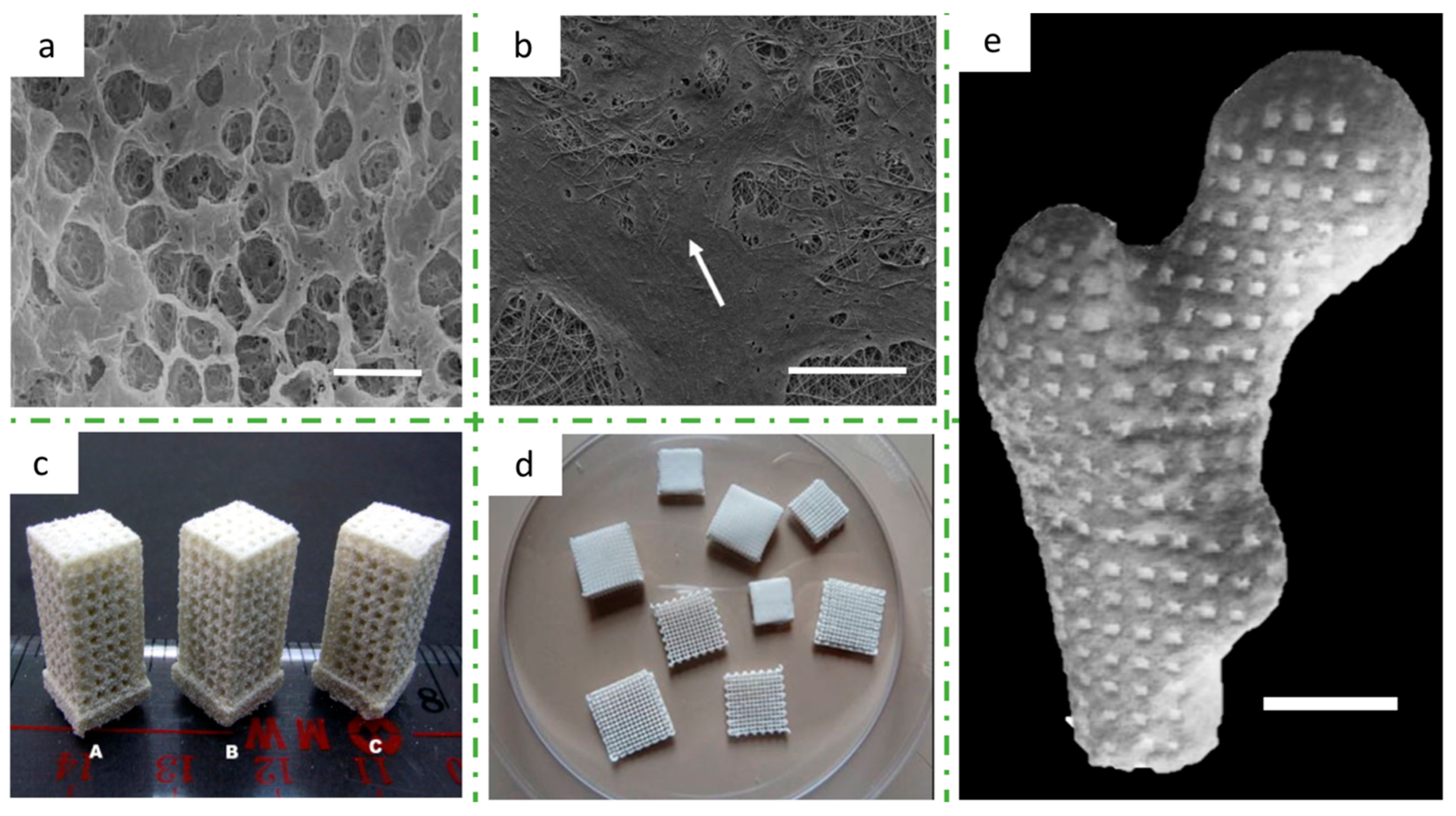 Bioengineering 08 00029 g010 Bioengineering 08 00029 g010