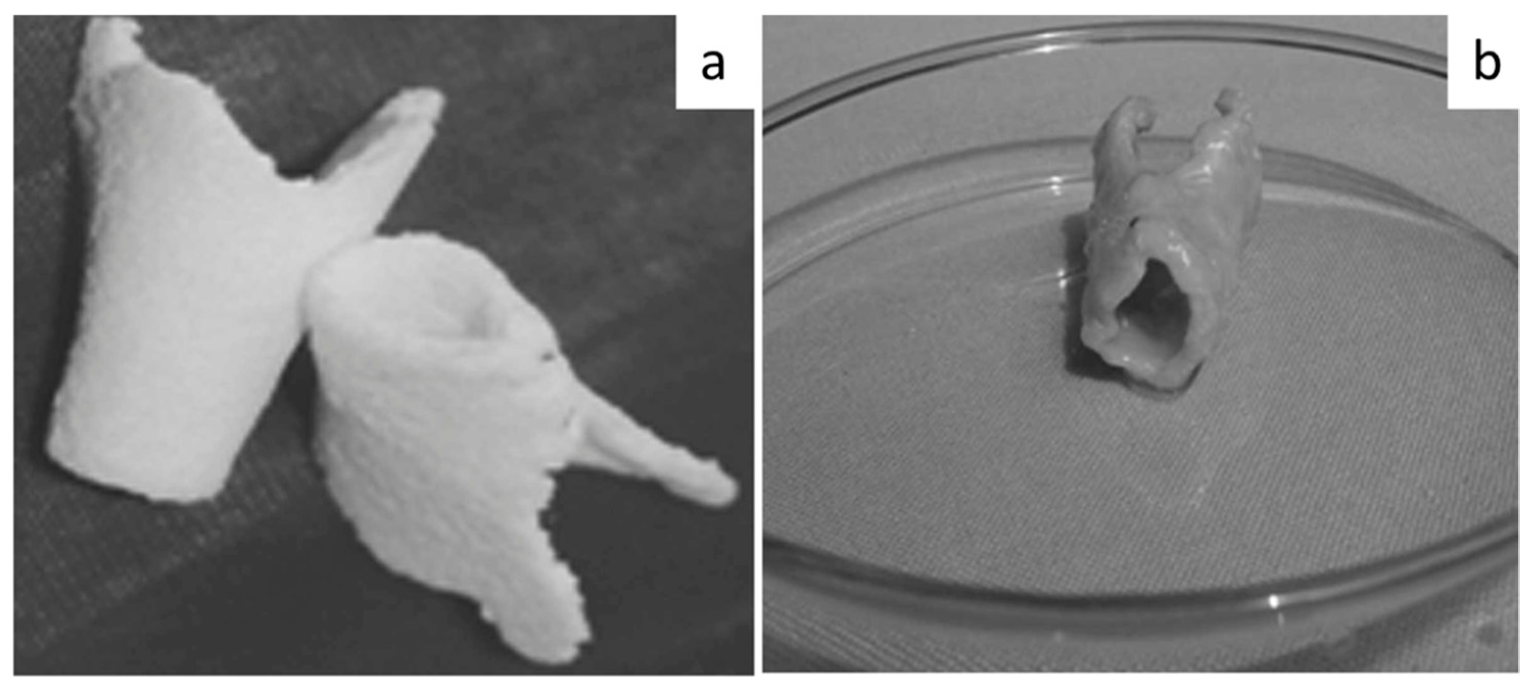 Bioengineering 08 00029 g011 Bioengineering 08 00029 g011