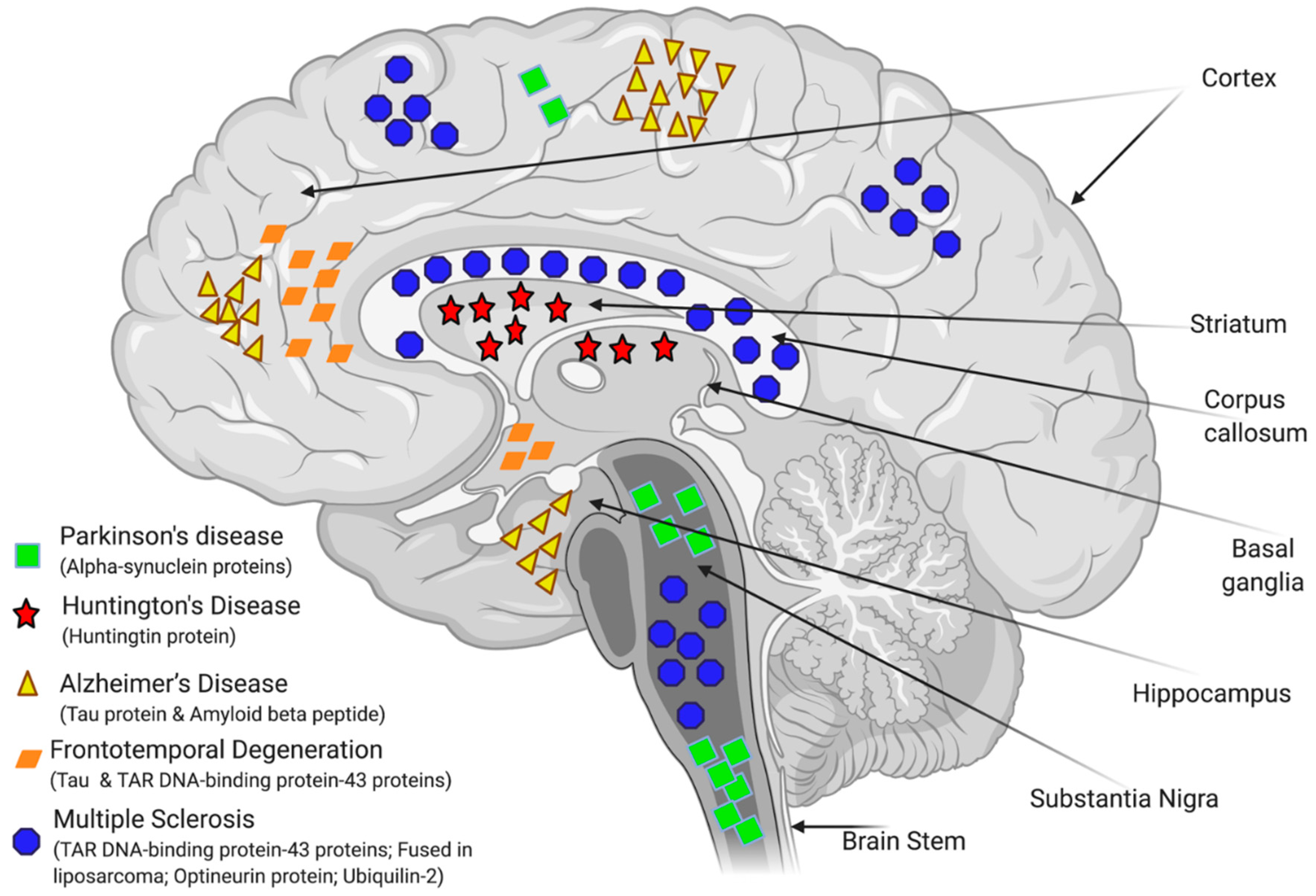 Bioengineering 08 00030 g004