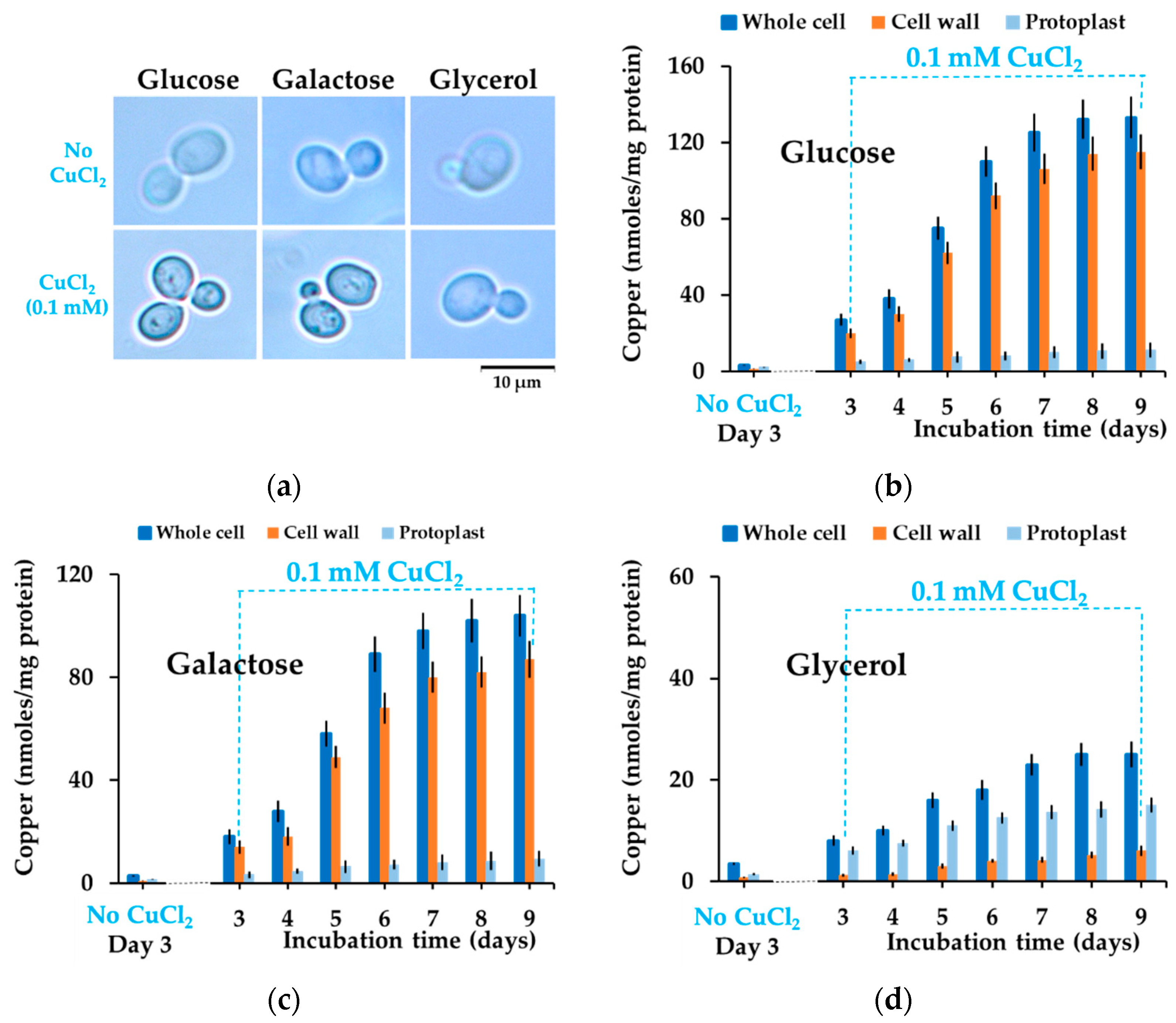 Bioengineering 08 00036 g002 Bioengineering 08 00036 g002