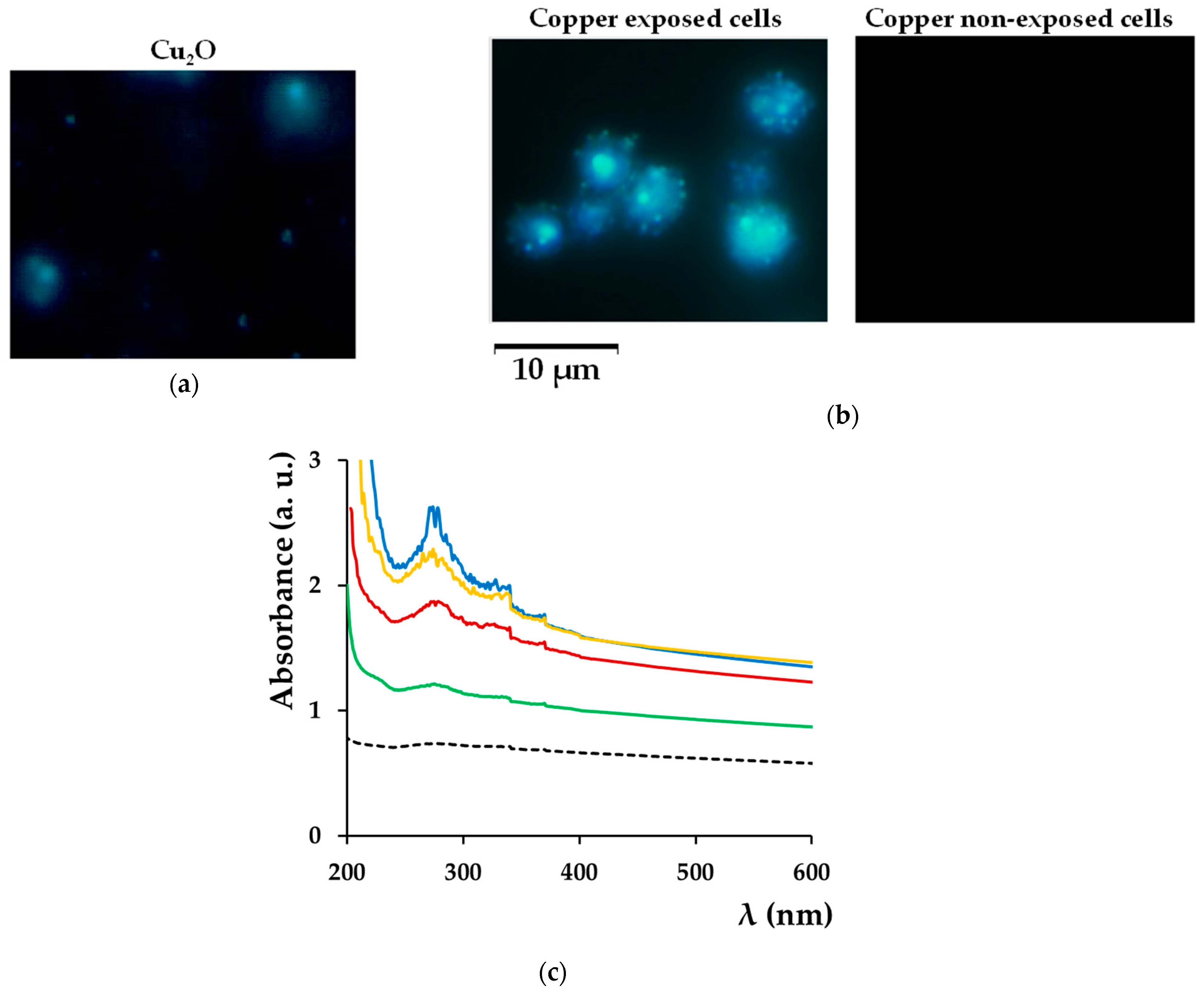Bioengineering 08 00036 g007 Bioengineering 08 00036 g007