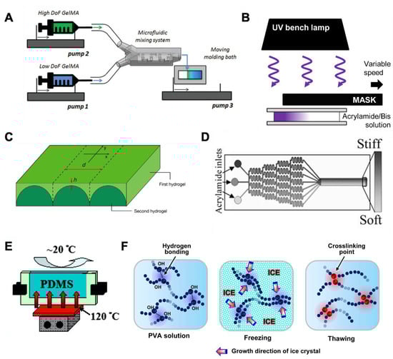 Bioengineering 08 00037 g002