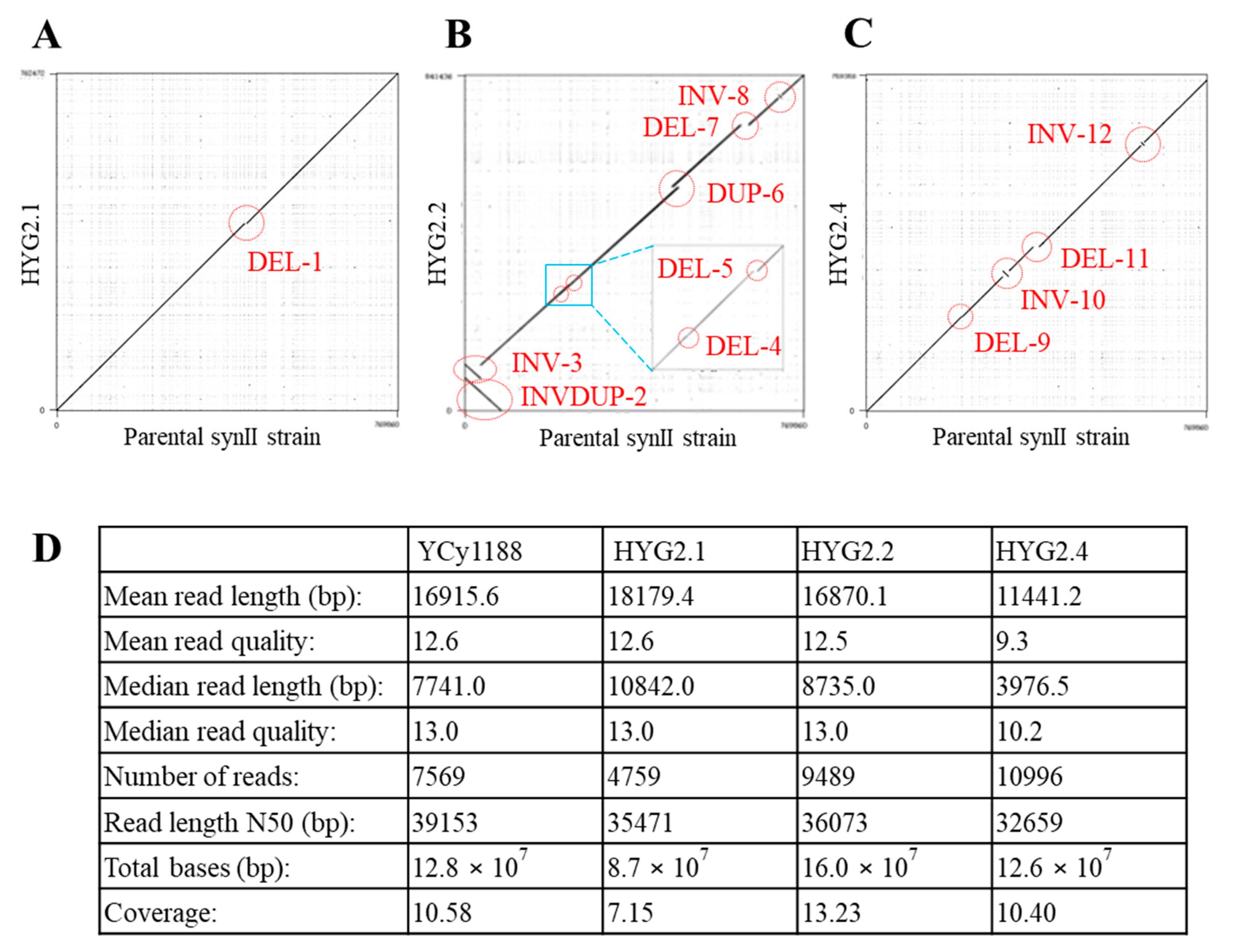 Bioengineering 08 00042 g003