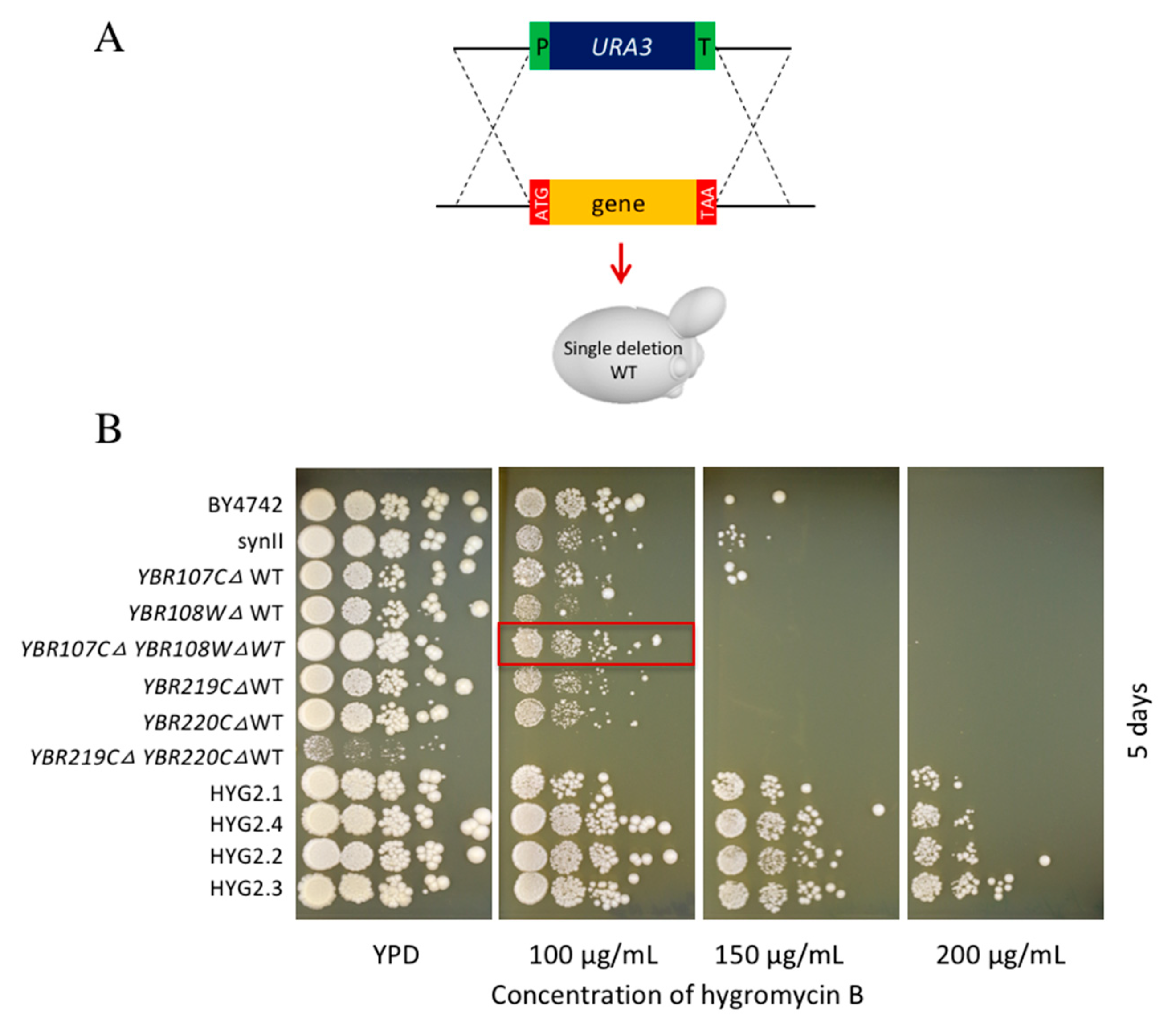 Bioengineering 08 00042 g005