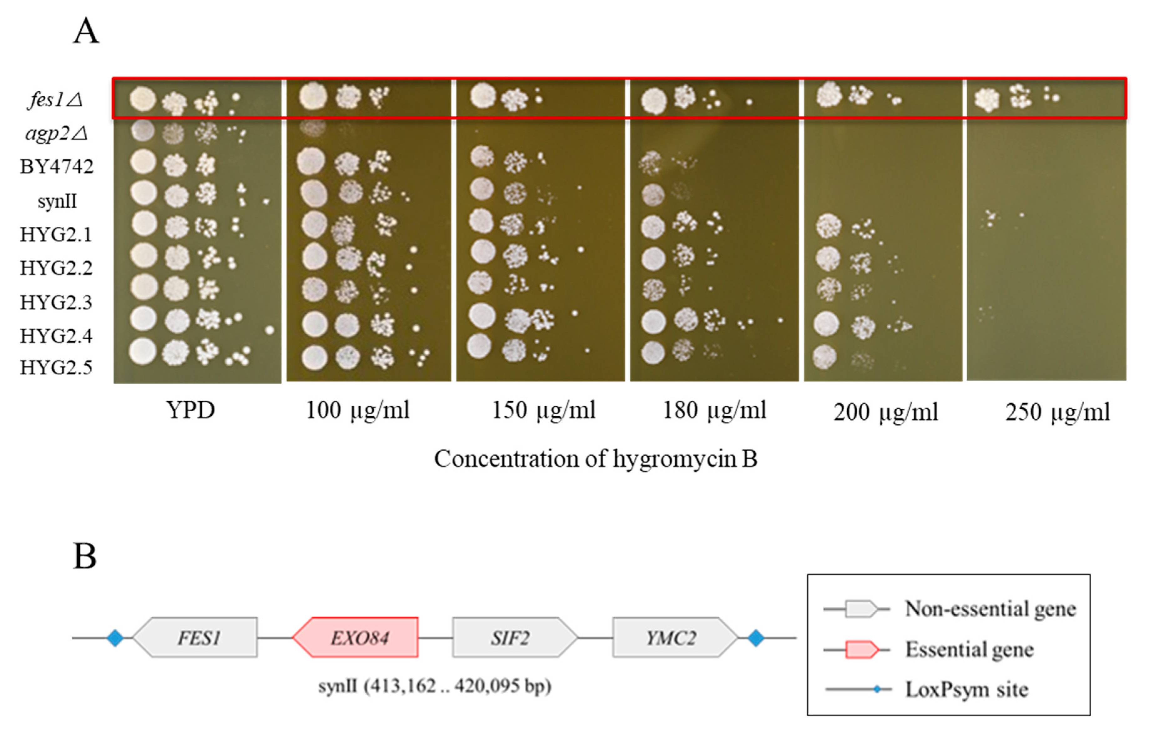 Bioengineering 08 00042 g006
