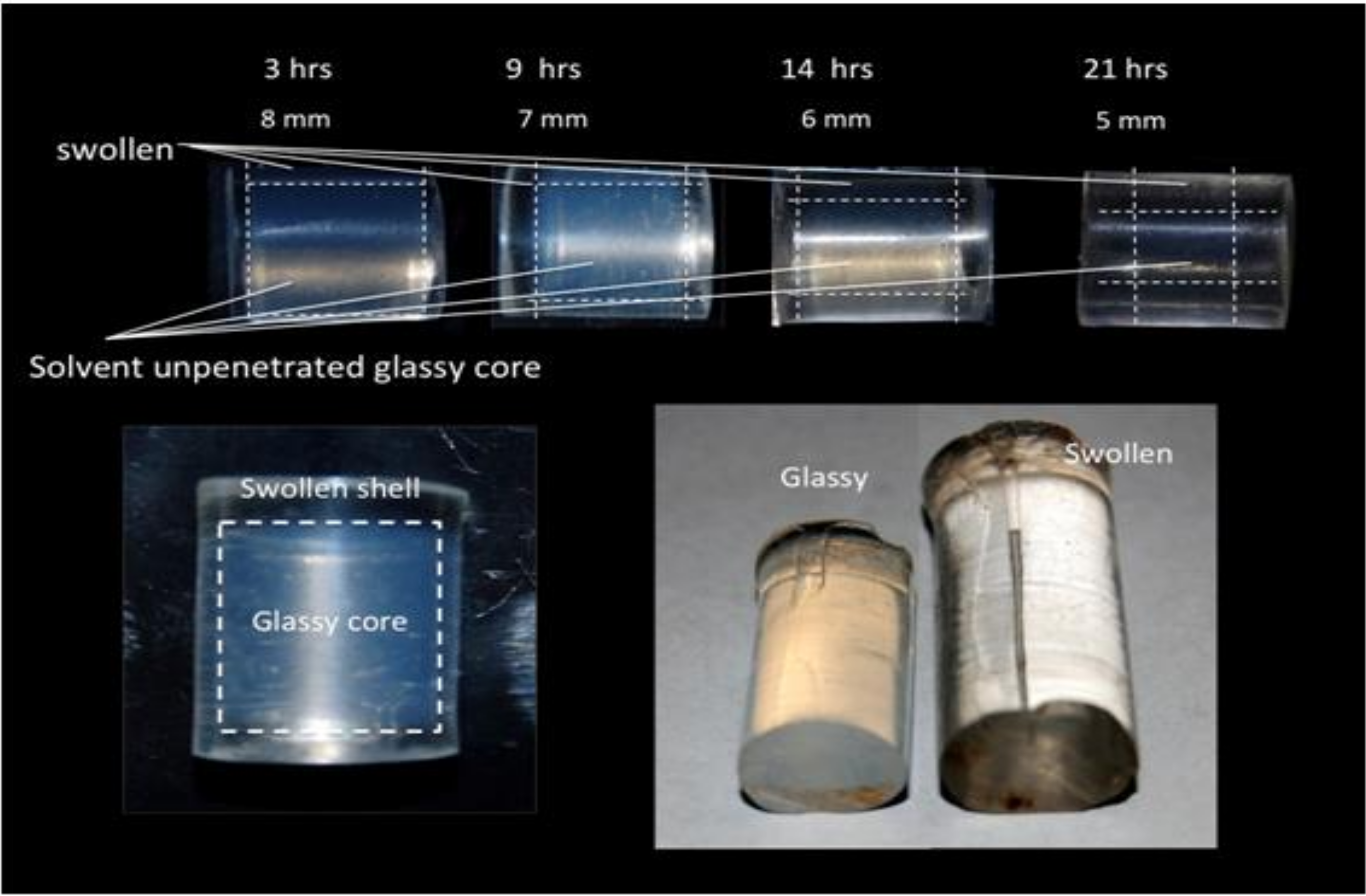 Bioengineering 08 00045 g001 Bioengineering 08 00045 g001